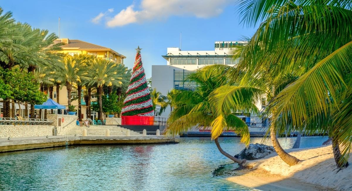 Camana Bay Christmas tree lighting display with tropical palm trees and waterfront dining area in Grand Cayman holiday celebration.