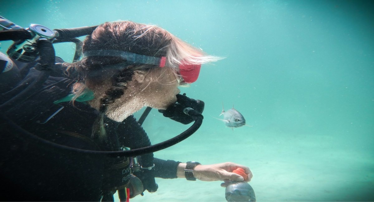 A scuba diver underwater with a fish in clear turquoise water in Grand Cayman