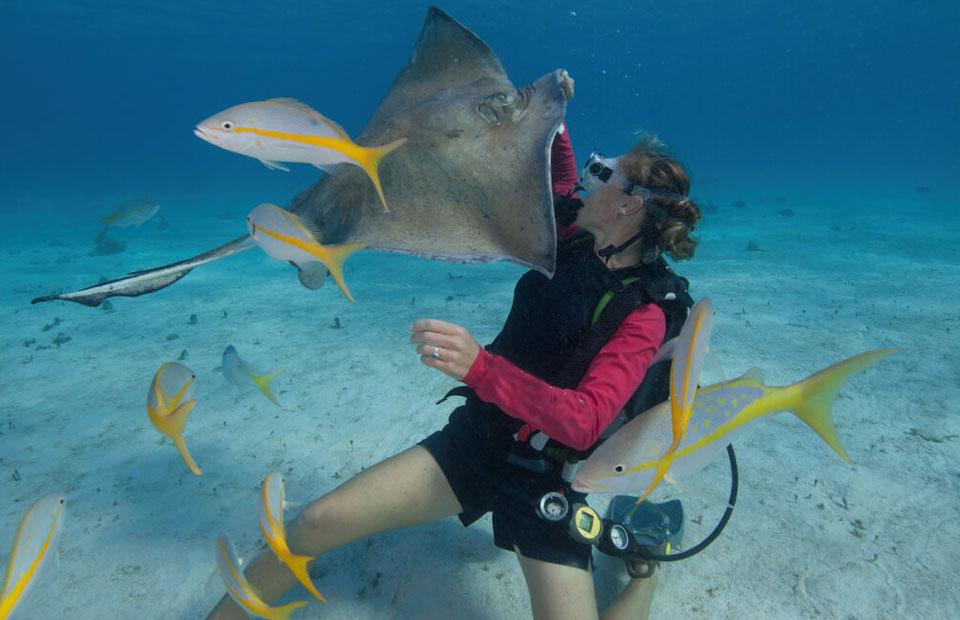 Stay in the Grand Cayman
