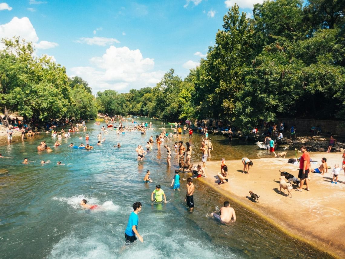 Barton Springs is a set of four natural water springs located at Barton Creek on the grounds of Zilker Park in Austin, Texas.