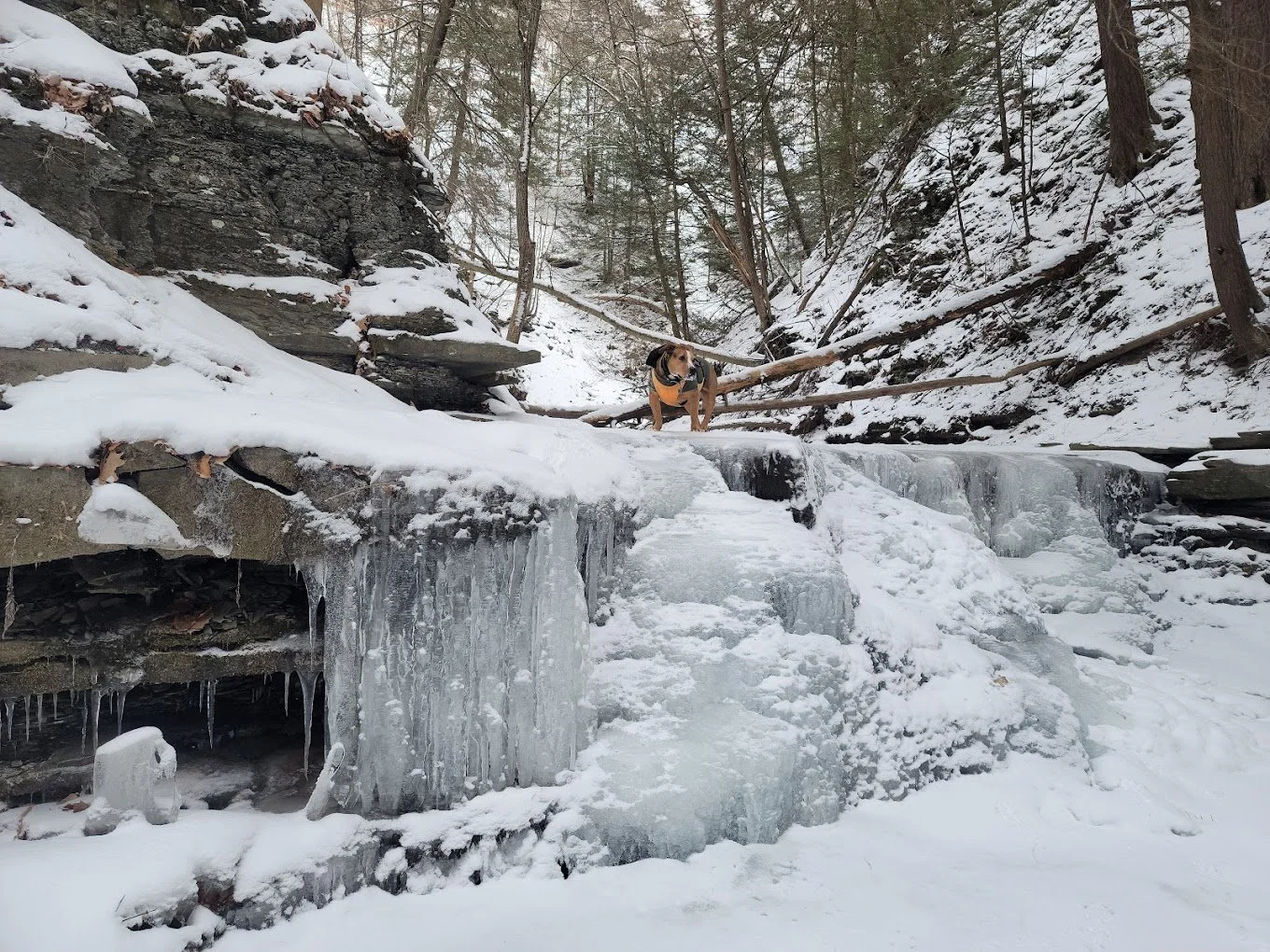 Conklin Gully