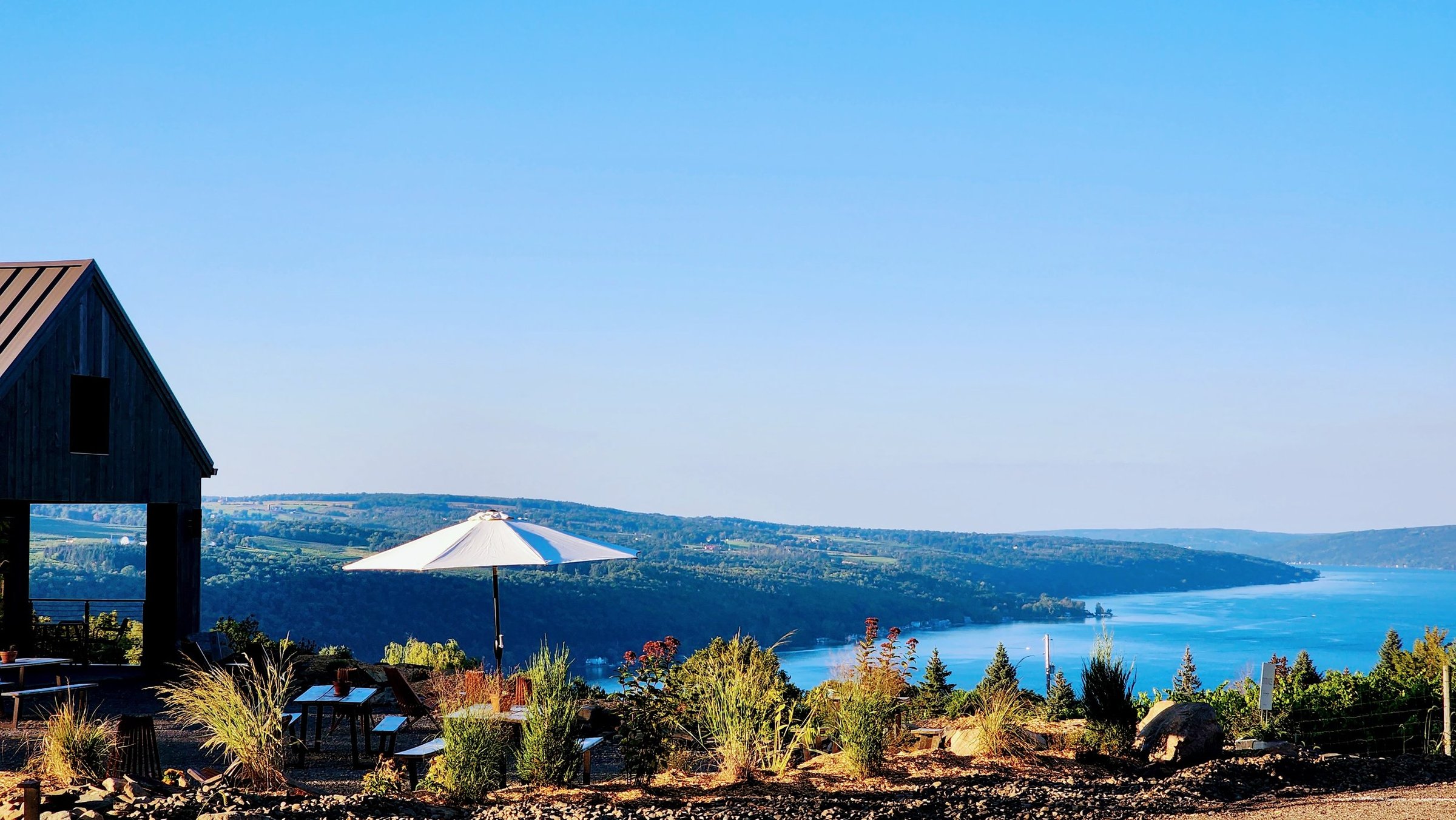 Hammondsport Living Roots.jpg