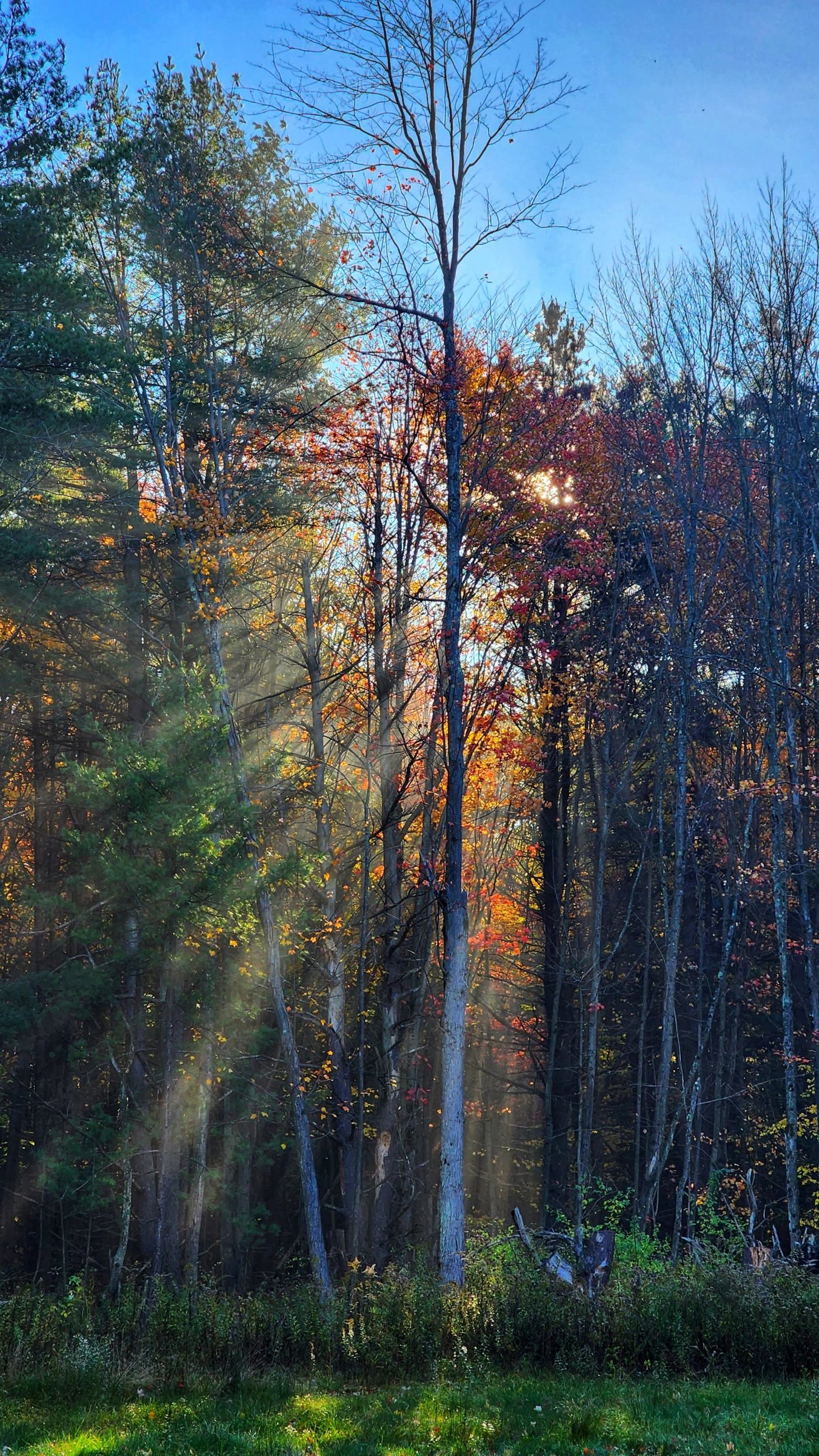 Keuka Lake Autumn (2).jpeg