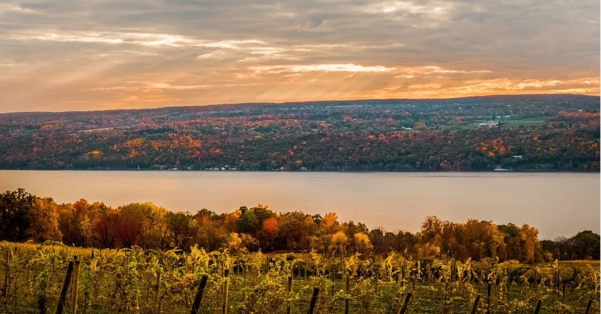 Pleasant Valley Wine Co