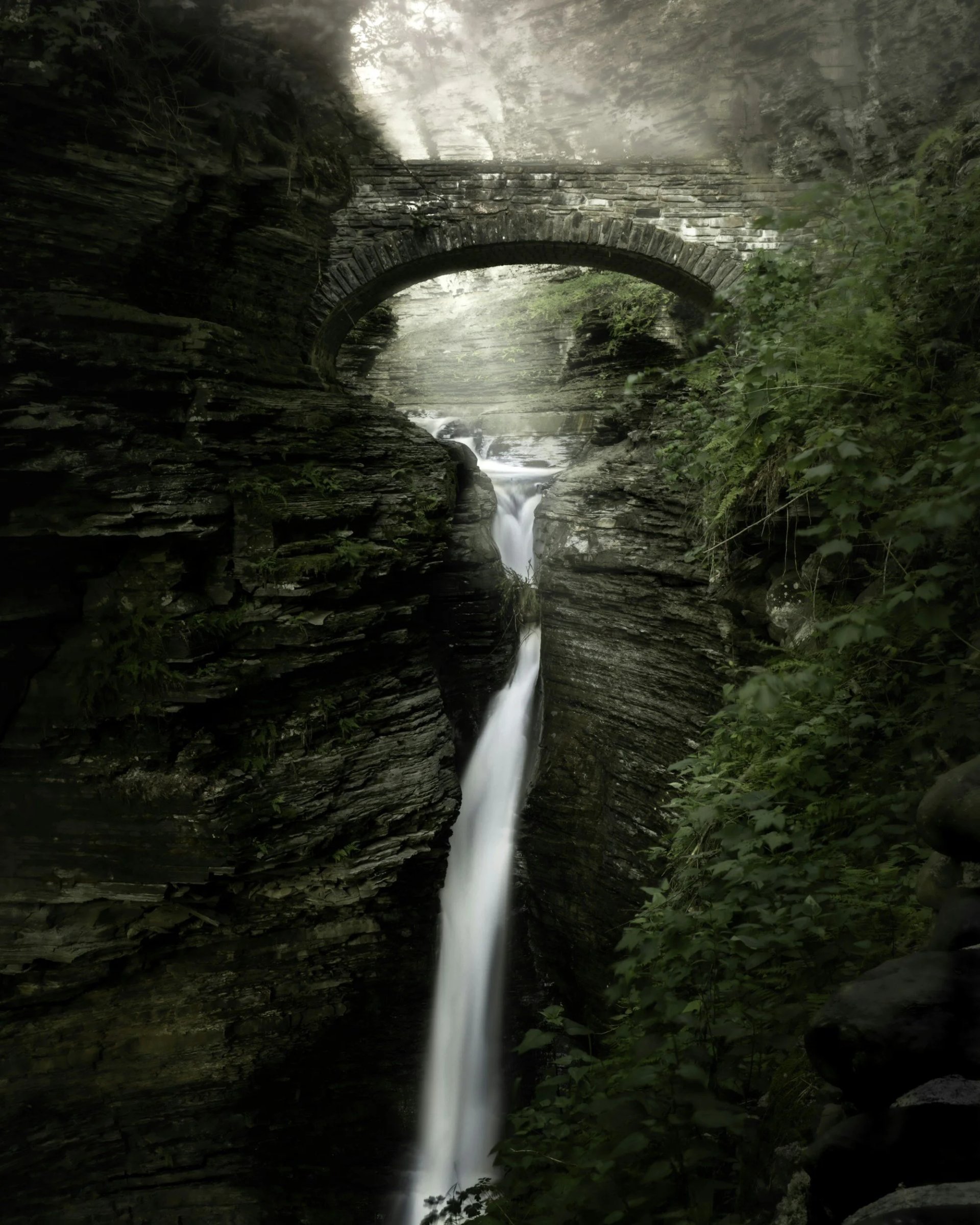 Discovering Hidden Trails near North Forest FLX
