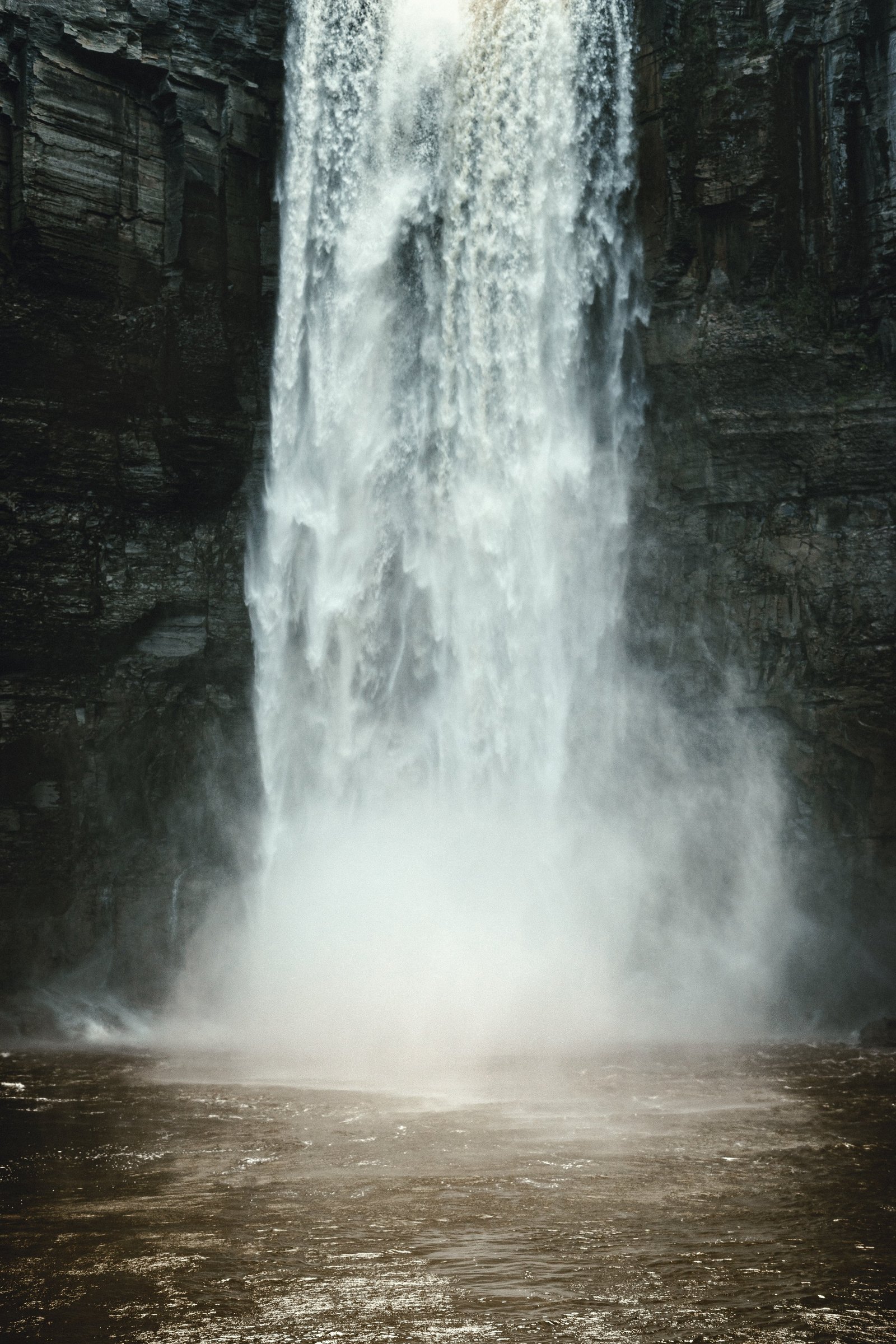 ty-finck-mCZQ0FIeDt4-unsplash.jpg