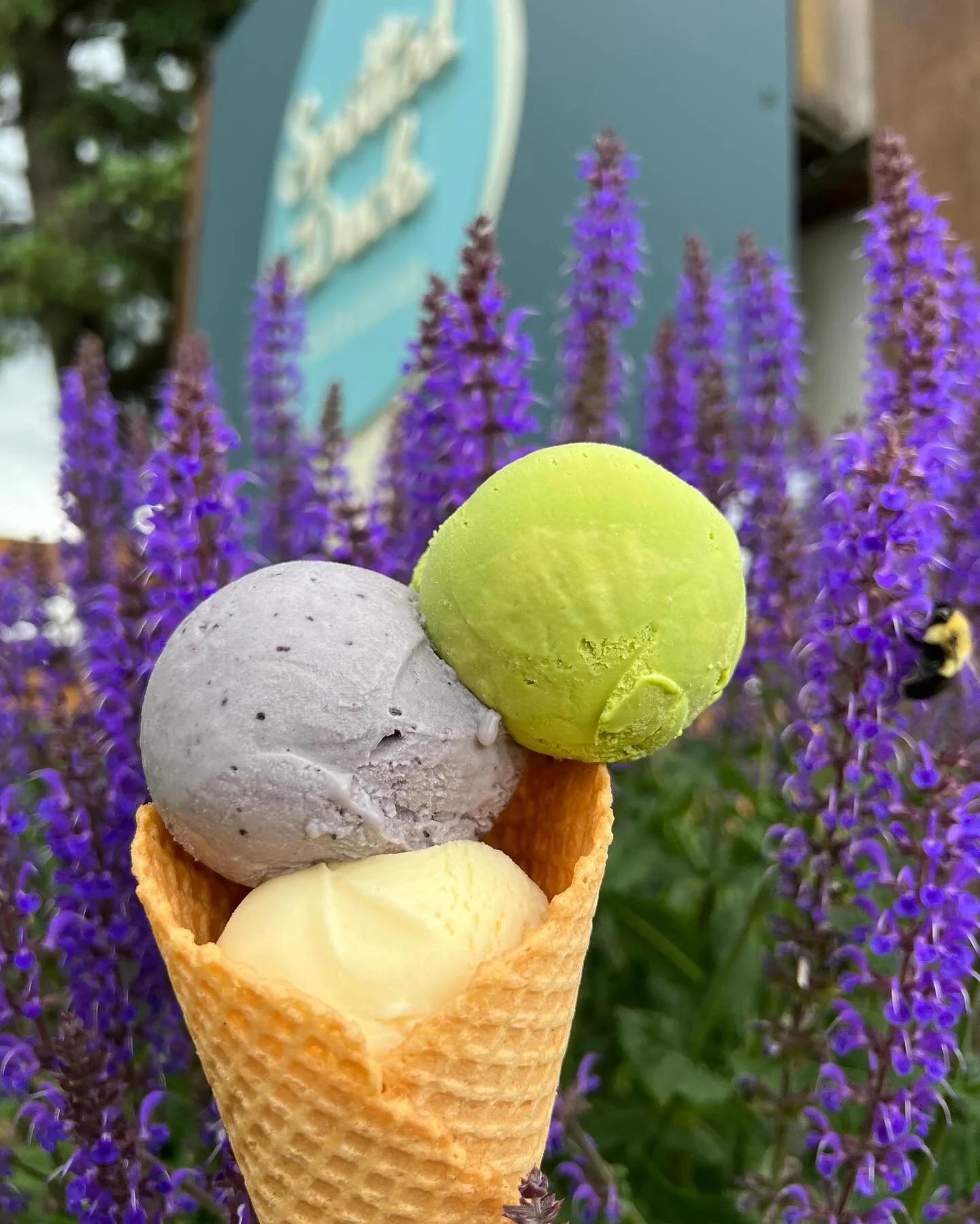 The Spotted Duck Cone and Flowers.jpg