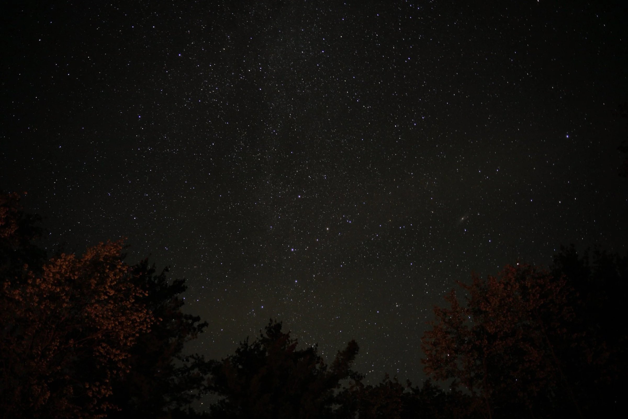 Stars at NIght (1).jpg