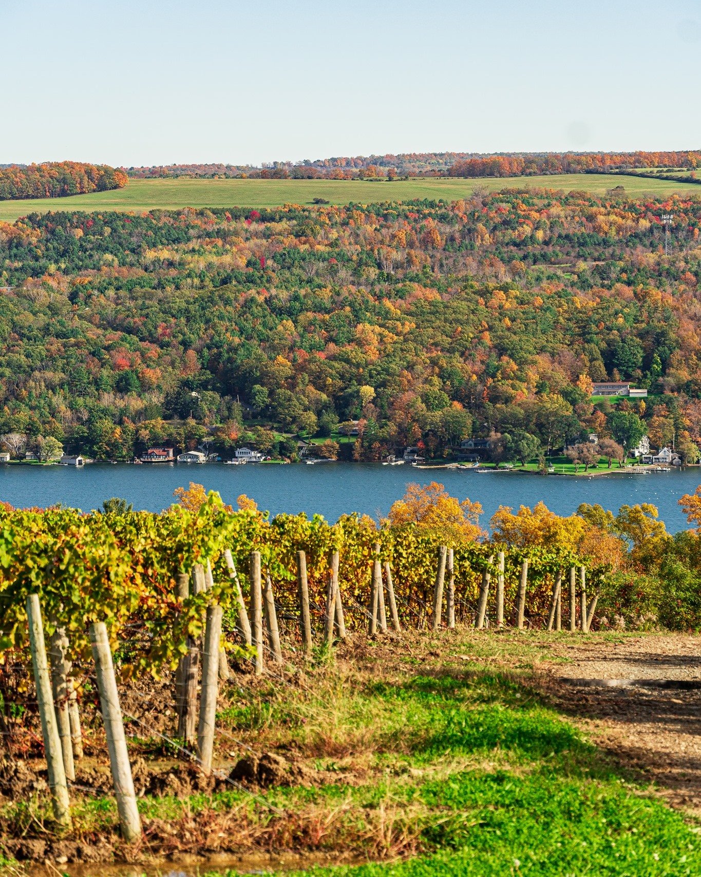 Dr. Konstantin Frank Winery