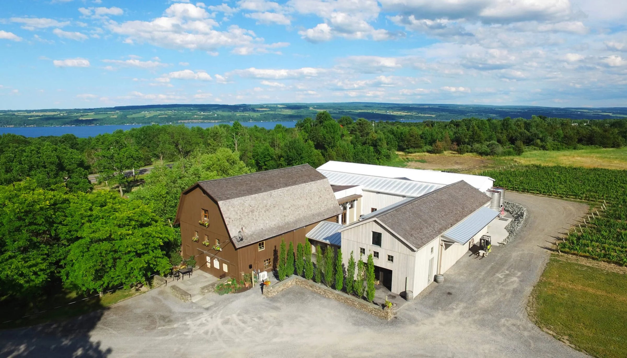 Hermann J. Wiemer Vineyard Drone.jpg