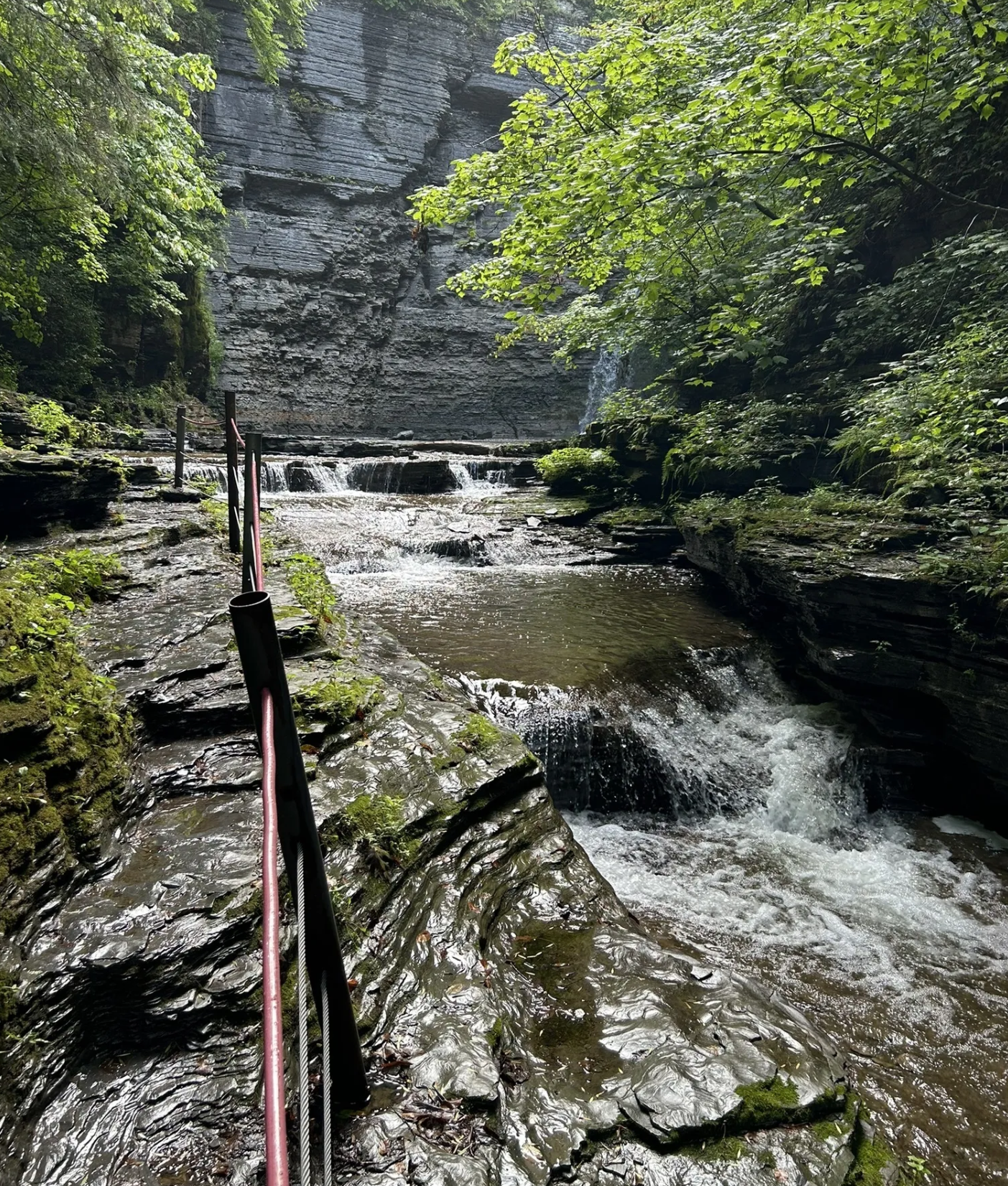 Havana Gl;en State Park Summer Path.PNG