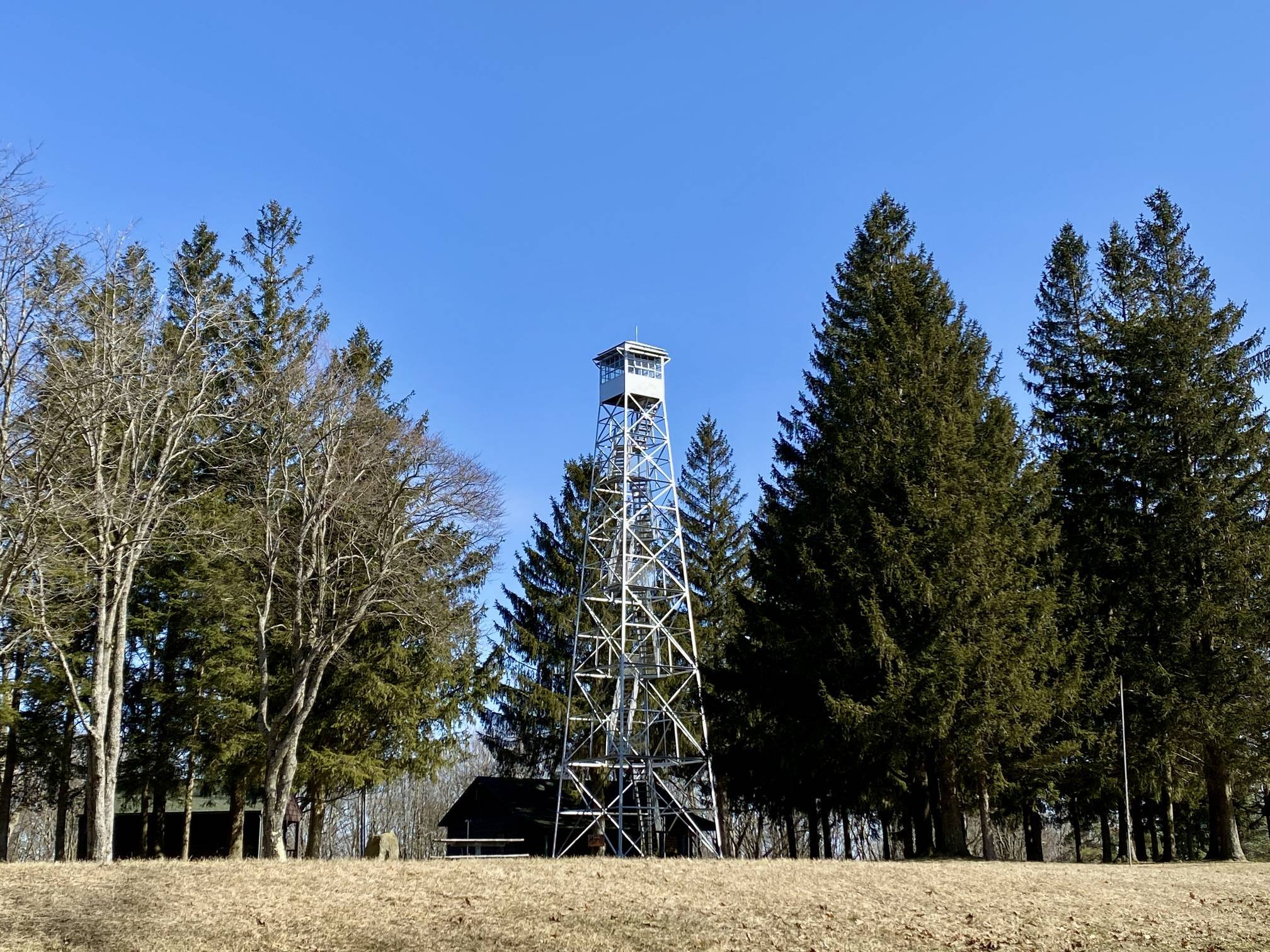 Sugar Hill State Forest Trail