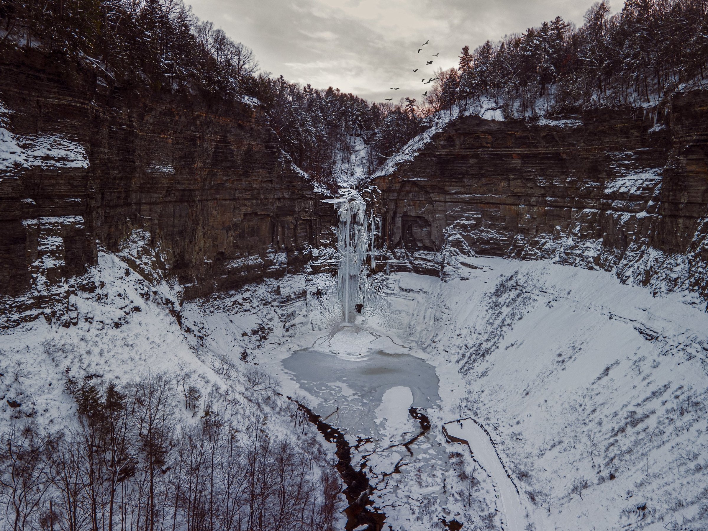 lokesh-paduchuri-ZJw9X7dBkw4-unsplash.jpg
