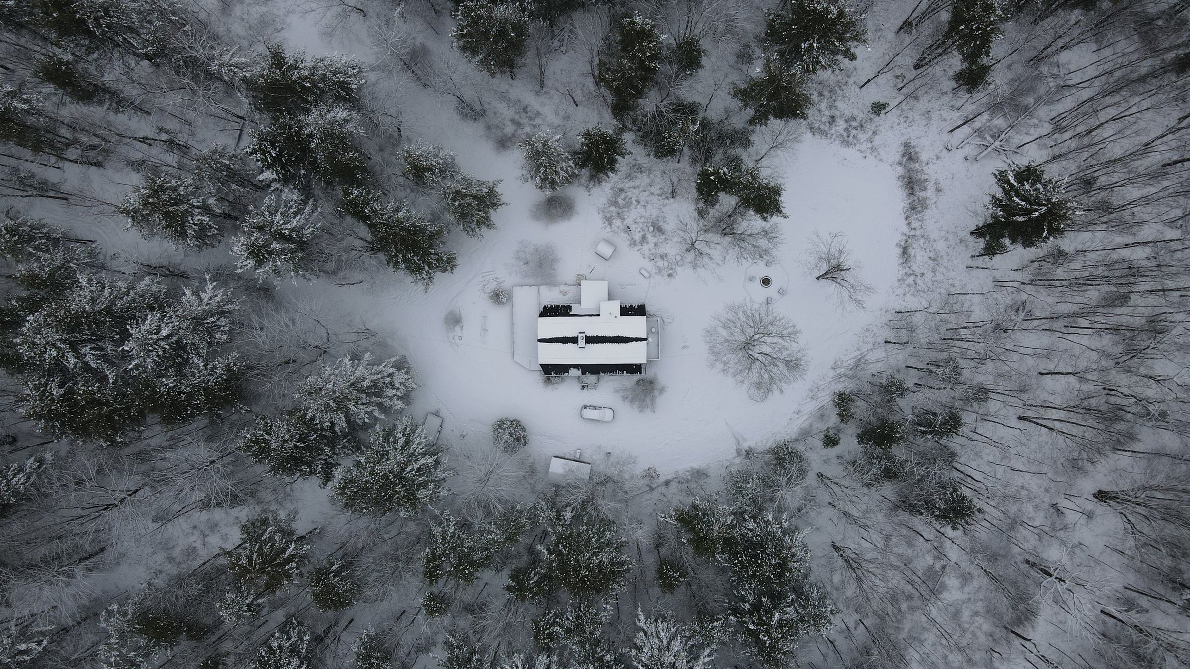 Winter (5).JPG
