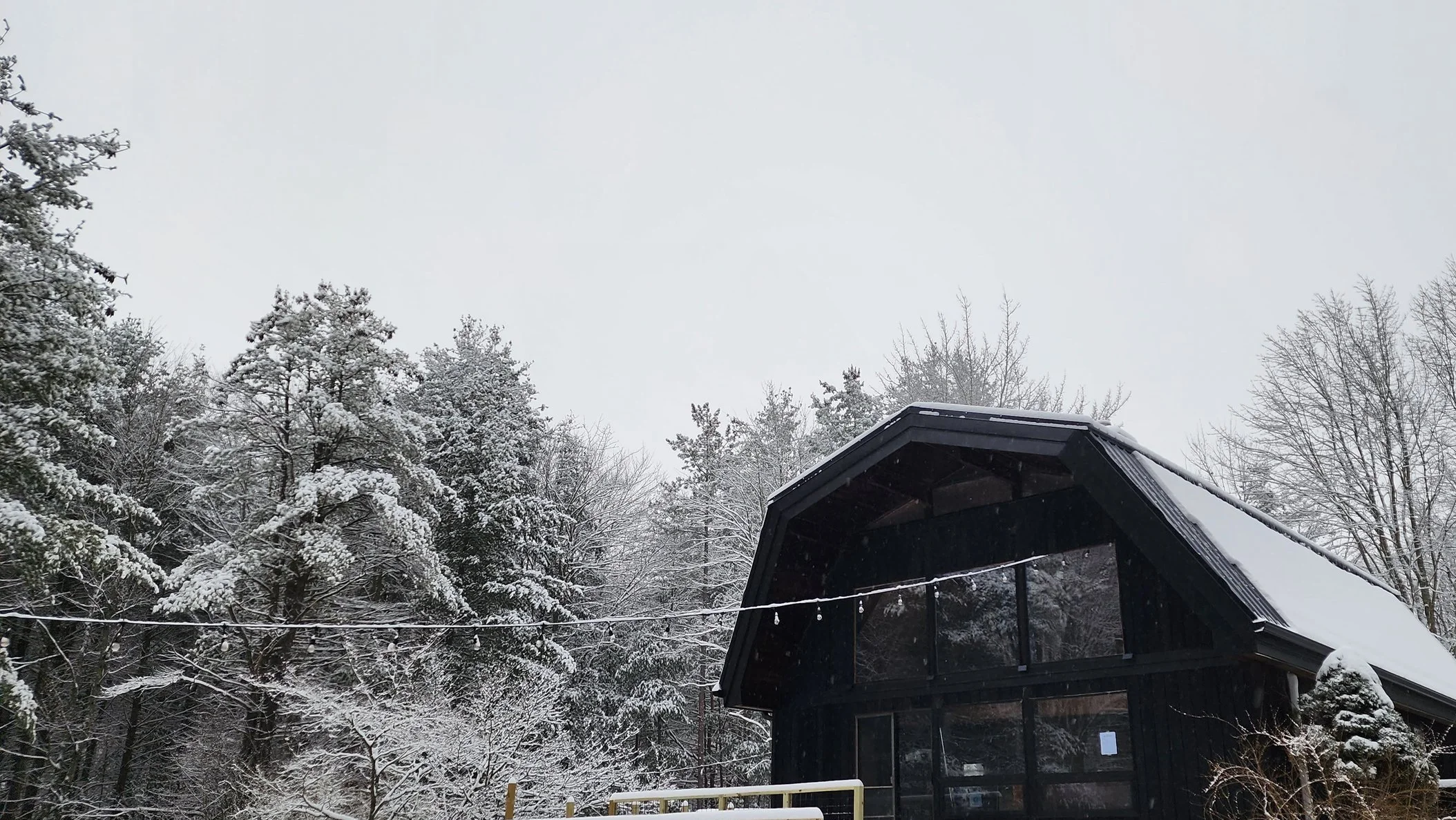 Winter+%288%29.jpg