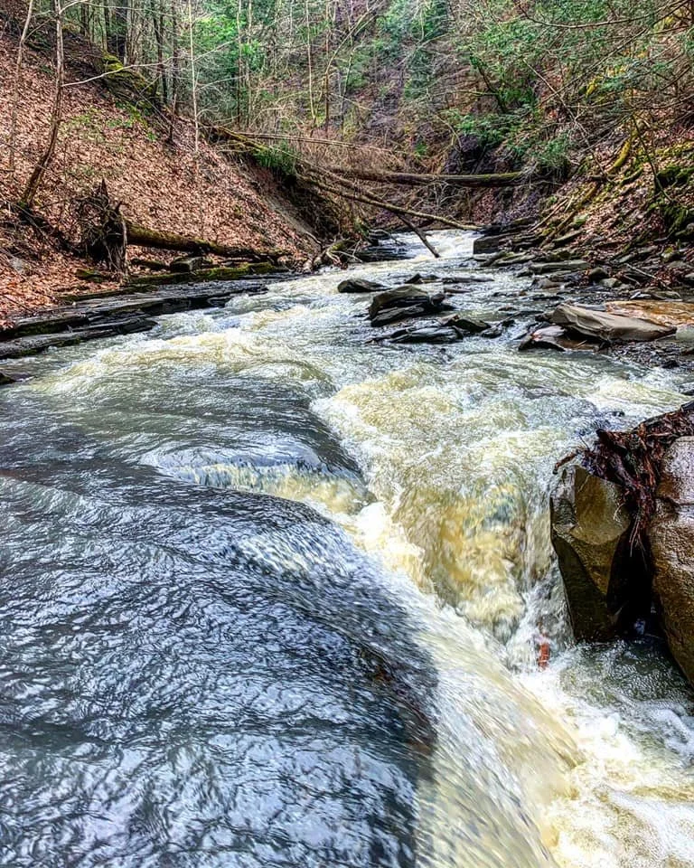 Eggleston Glen