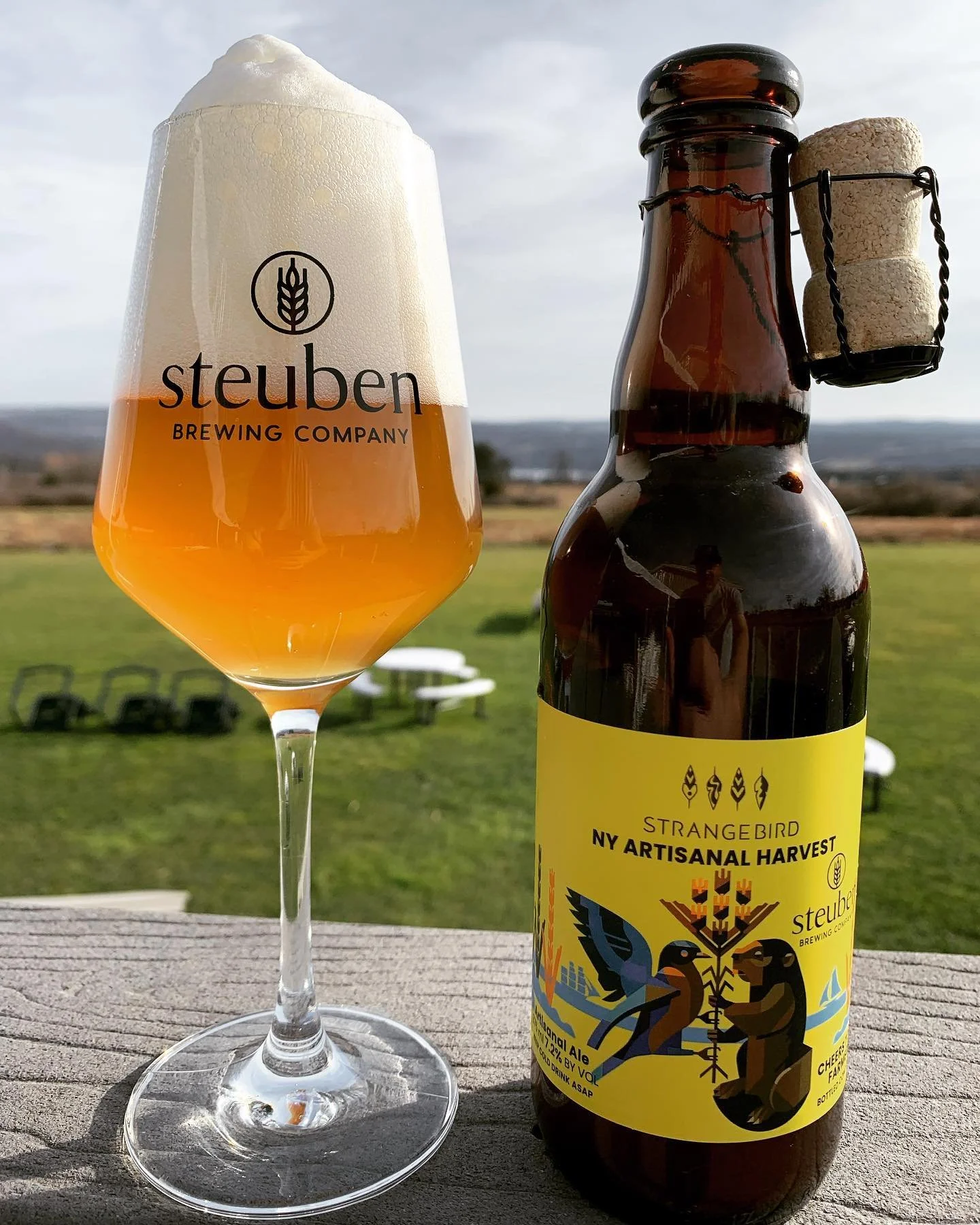 Steuben Brewing Company