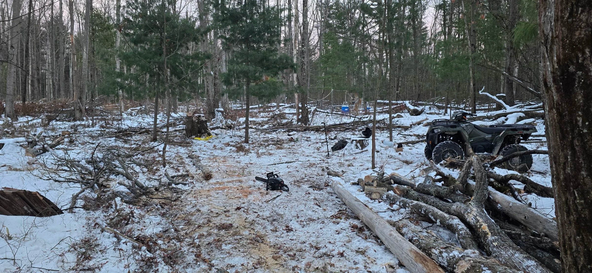 Farm December 2025 Progress Blackberry Site 1 (5).jpg