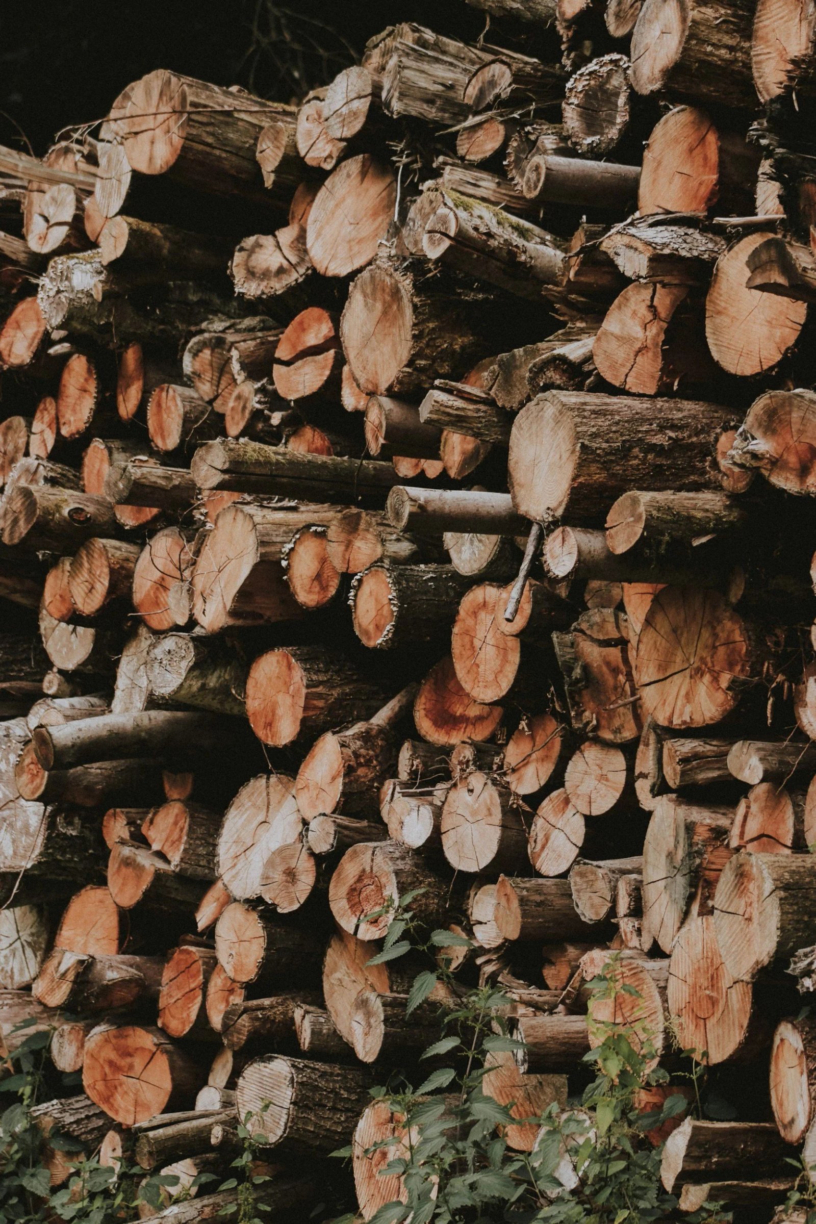 unsplash-image-gNoqNvYAsBg.jpg