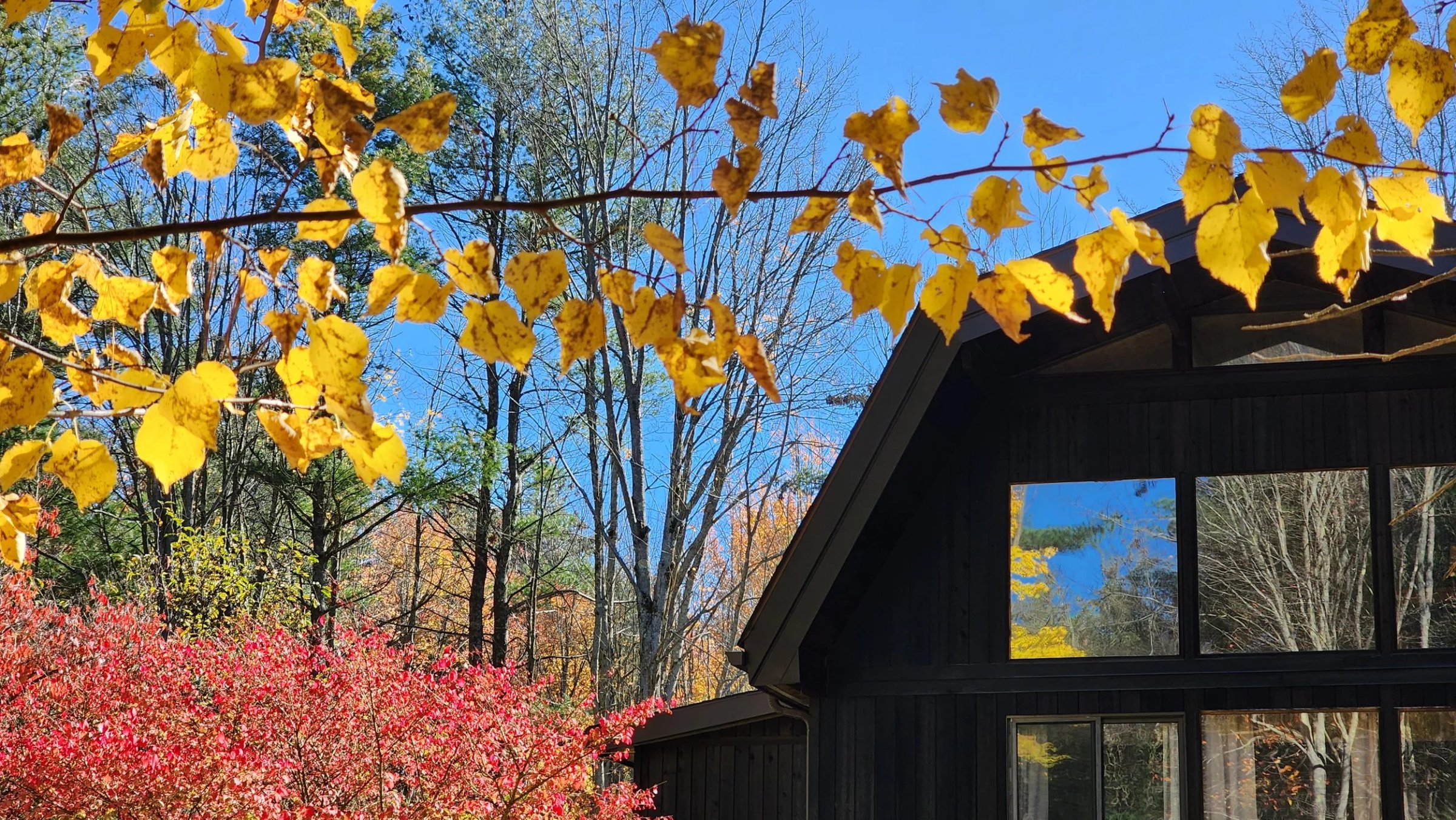Keuka Lake Autumn (3).jpg
