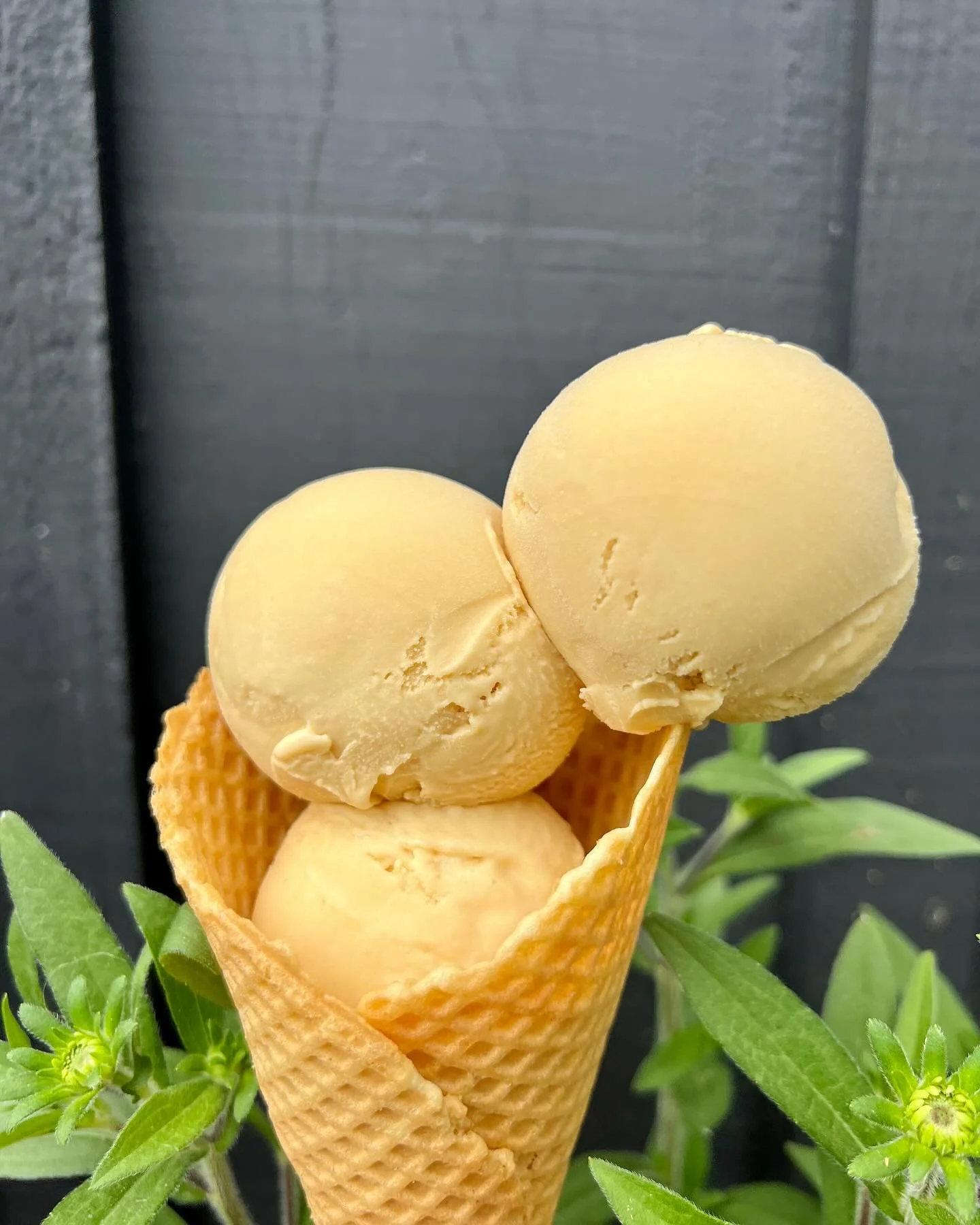 🧂 Seneca Salted Caramel