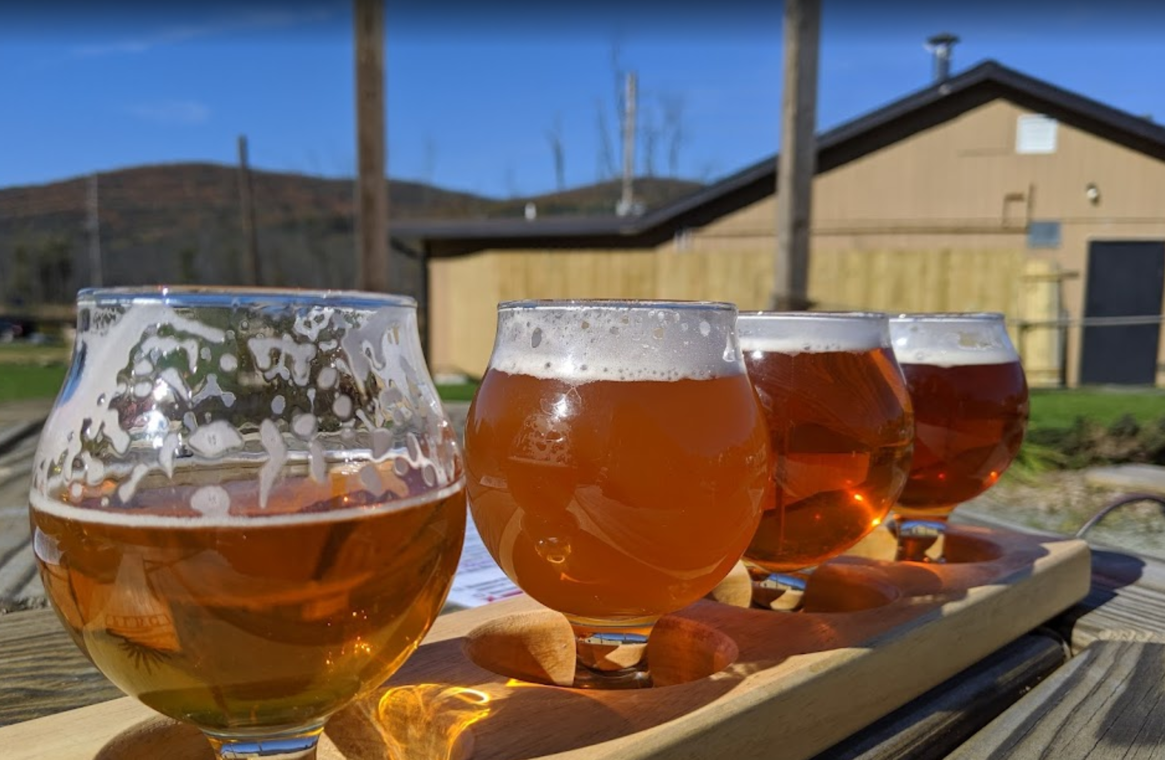 Finger Lakes Beer Company