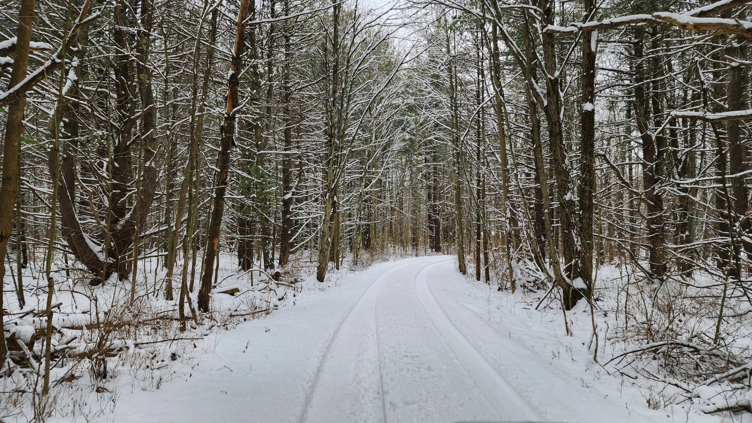 Winter (3).jpg