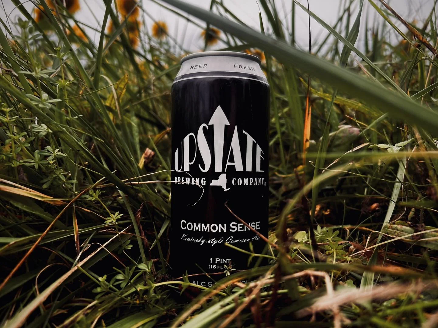 Upstate Brewing Company FLX Common Sense.jpg