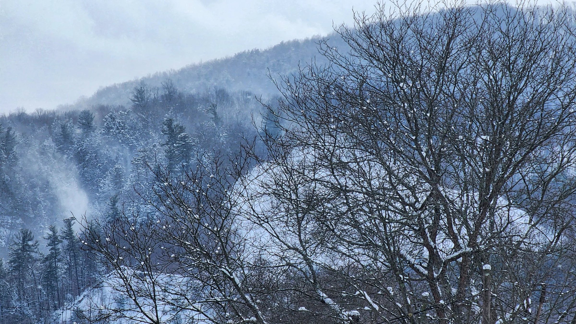 Winter (3).jpeg