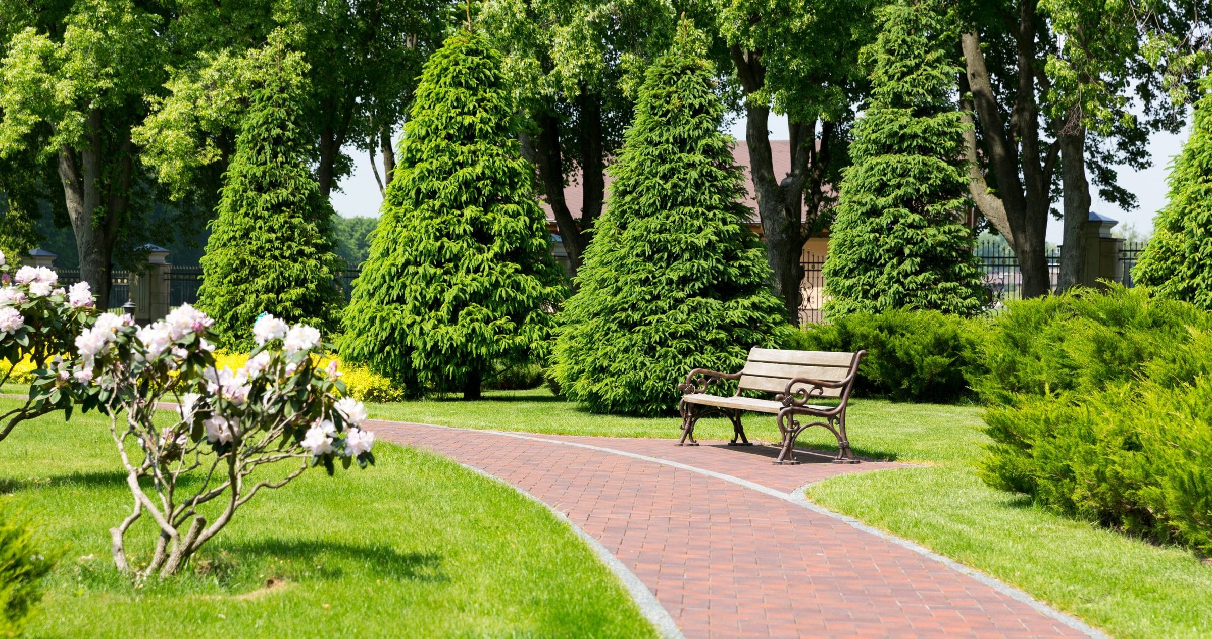Bench in the park and curved stone brick path