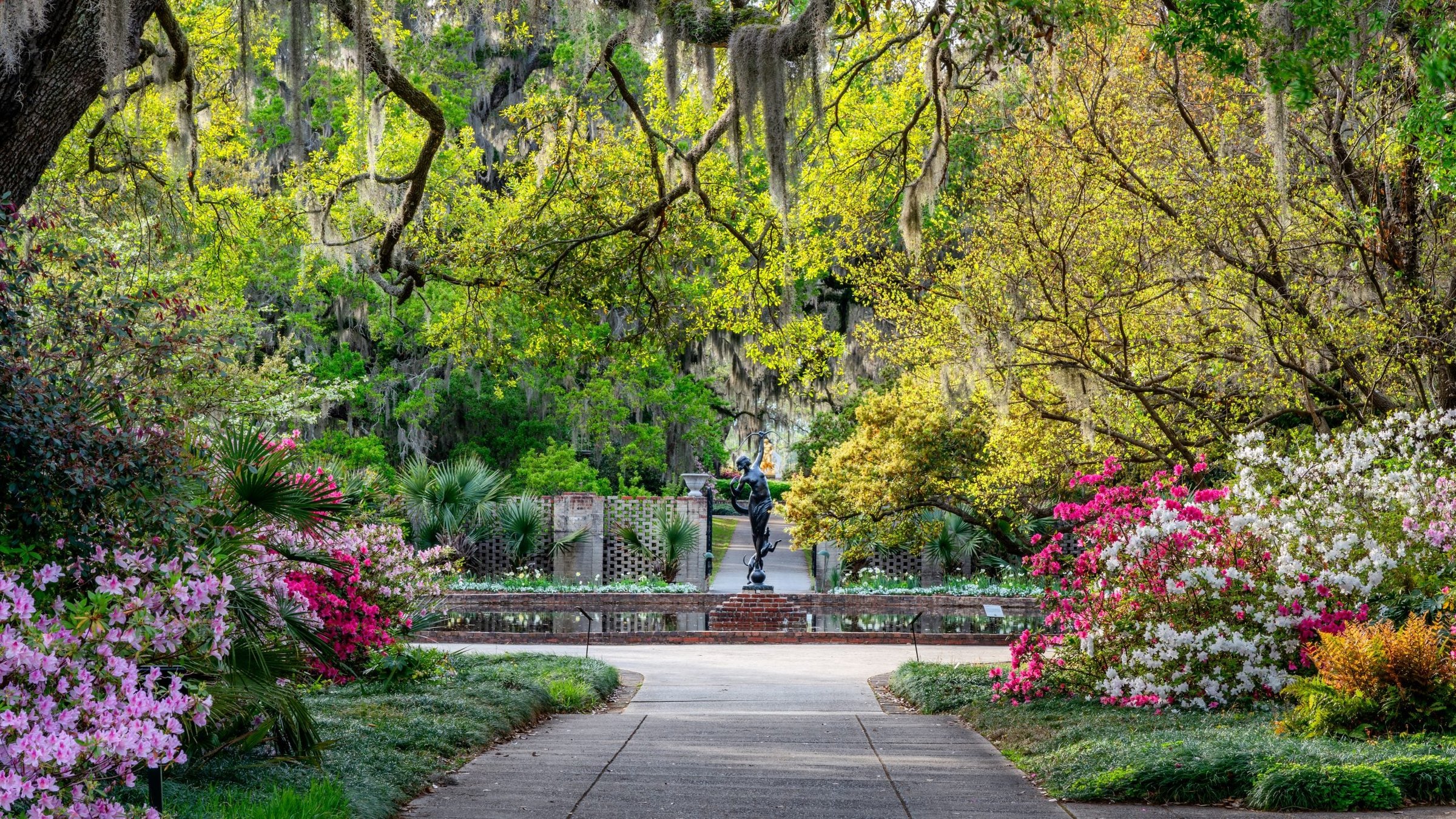 Garden with pathway