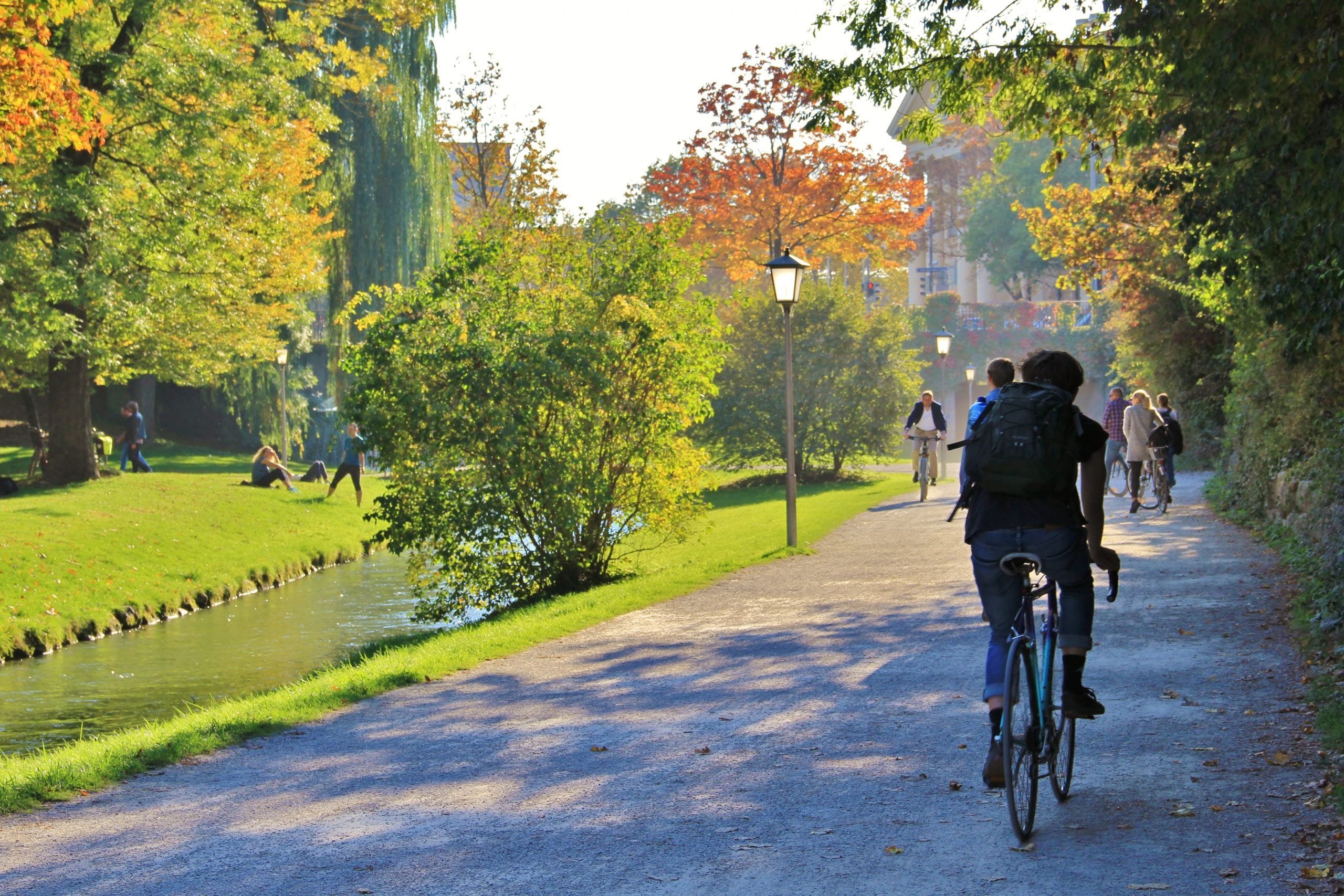 A man riding a bike through a Cleveland park path lined with trees