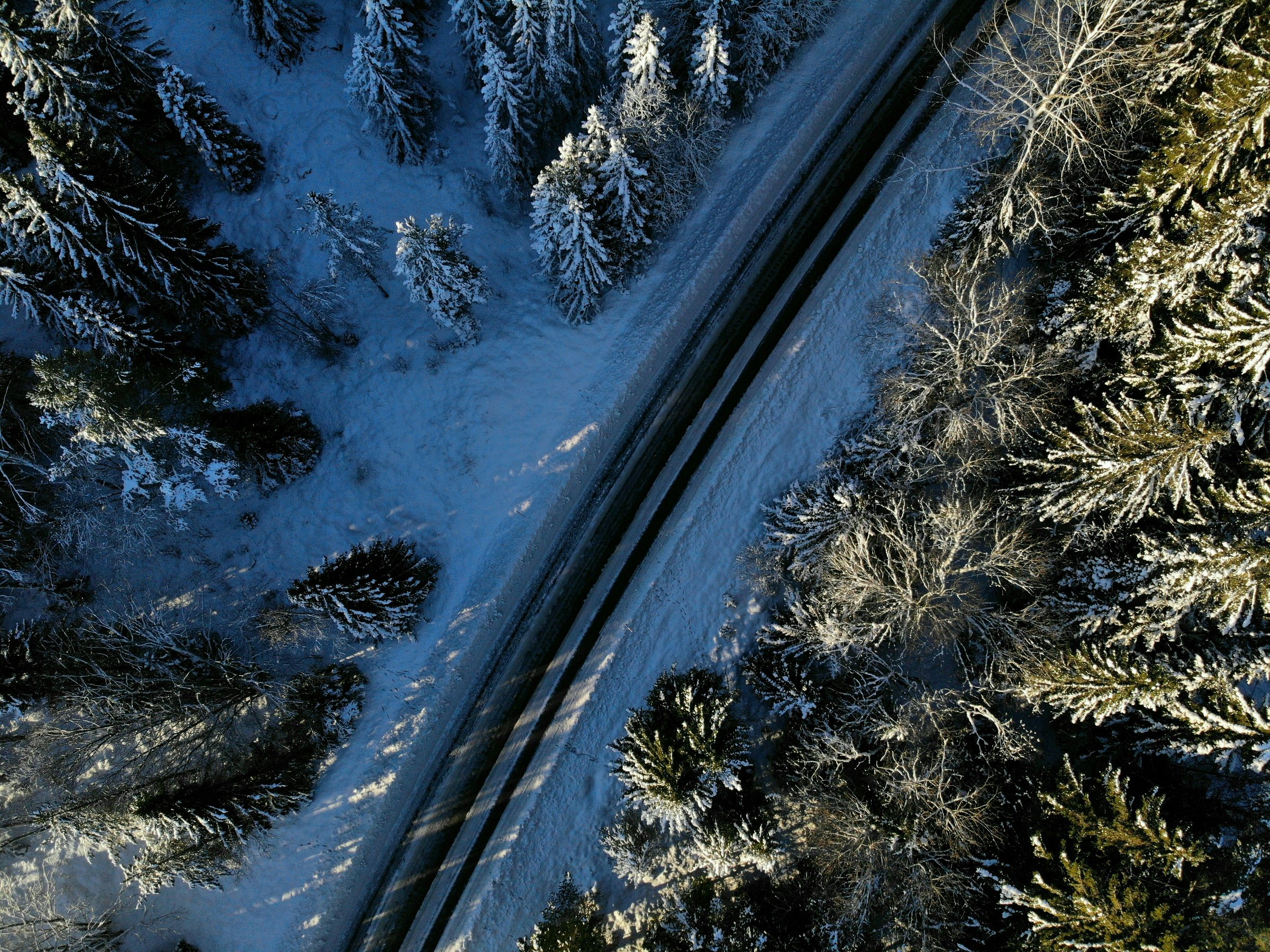 Image by Rasmus Olsson