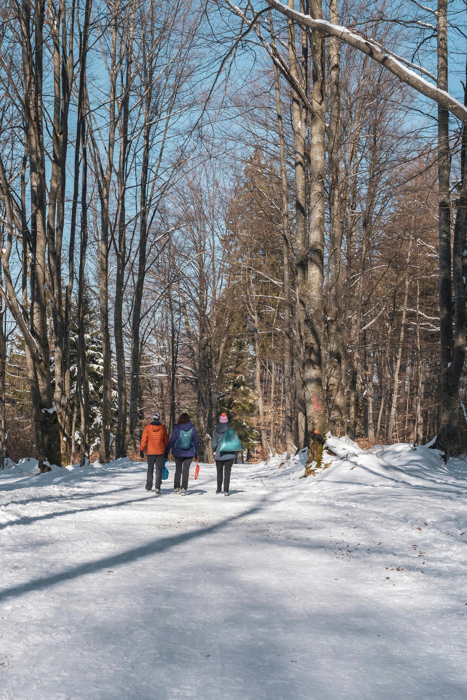 Family hiking in the north Georgia mountains of Blue Ridge.