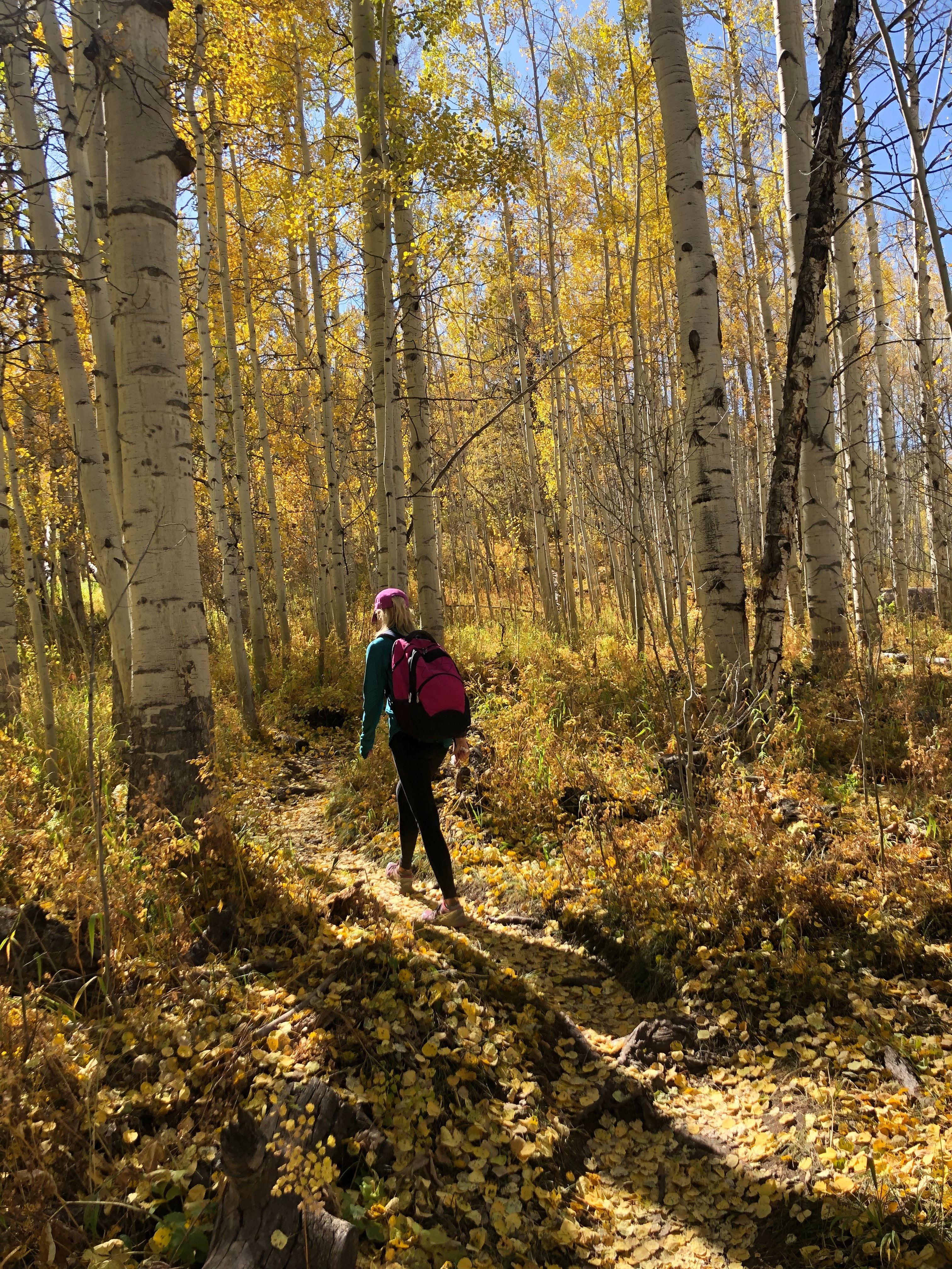 White River National Forest