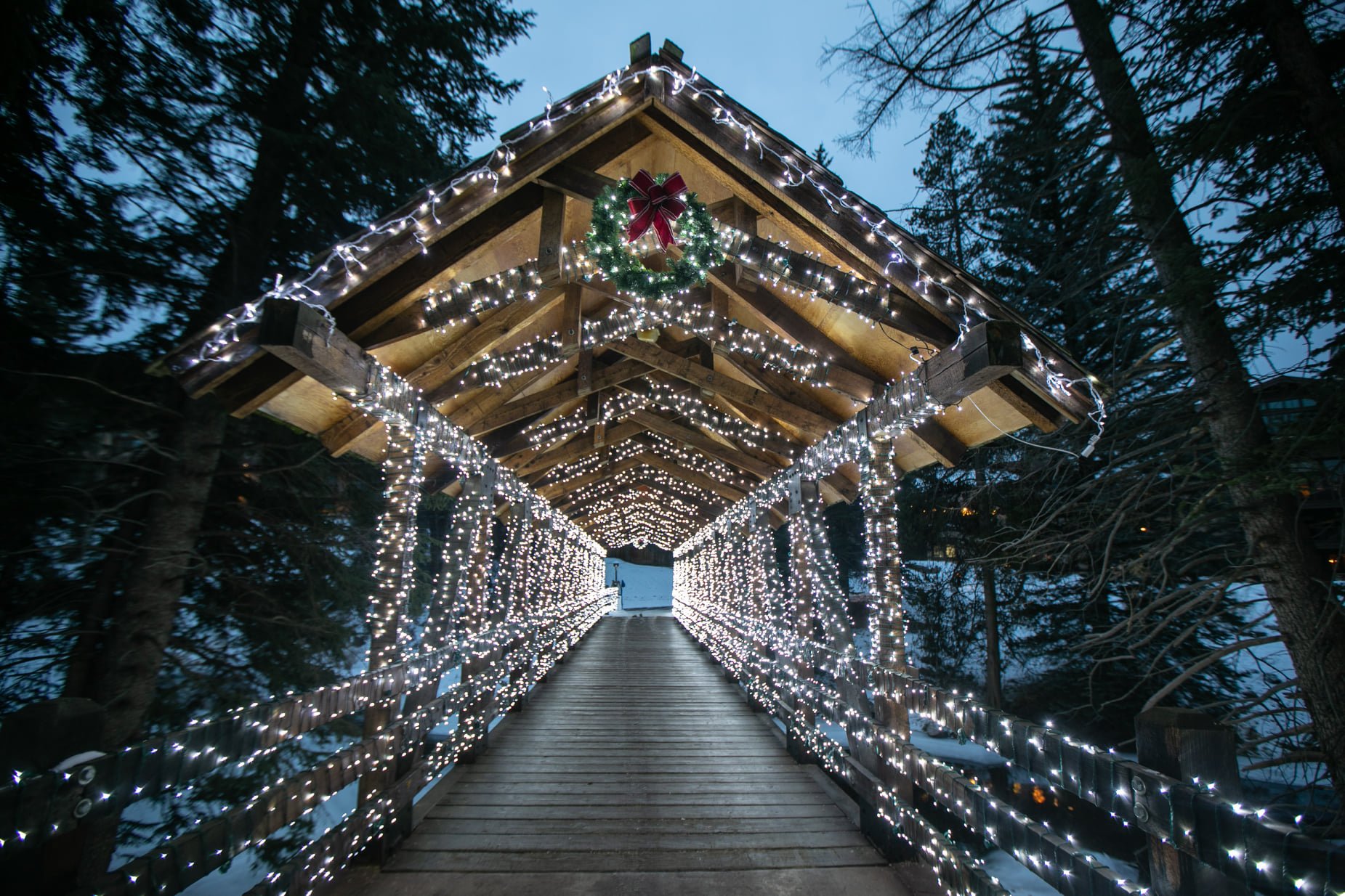 Magic of Lights display
