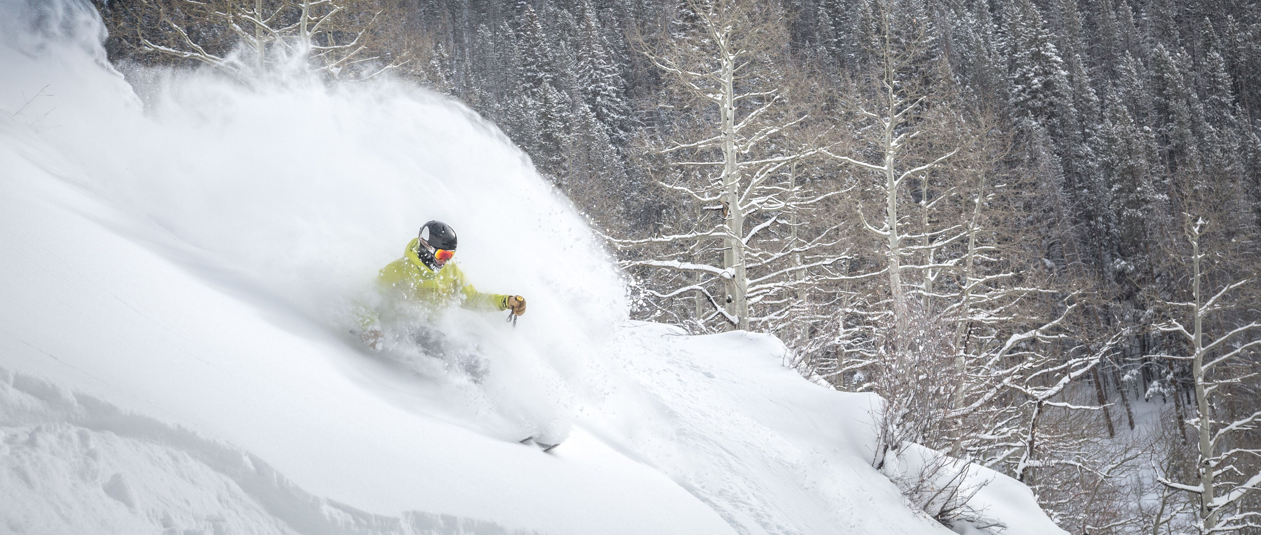Skiers on Vail Mountain in fresh powder