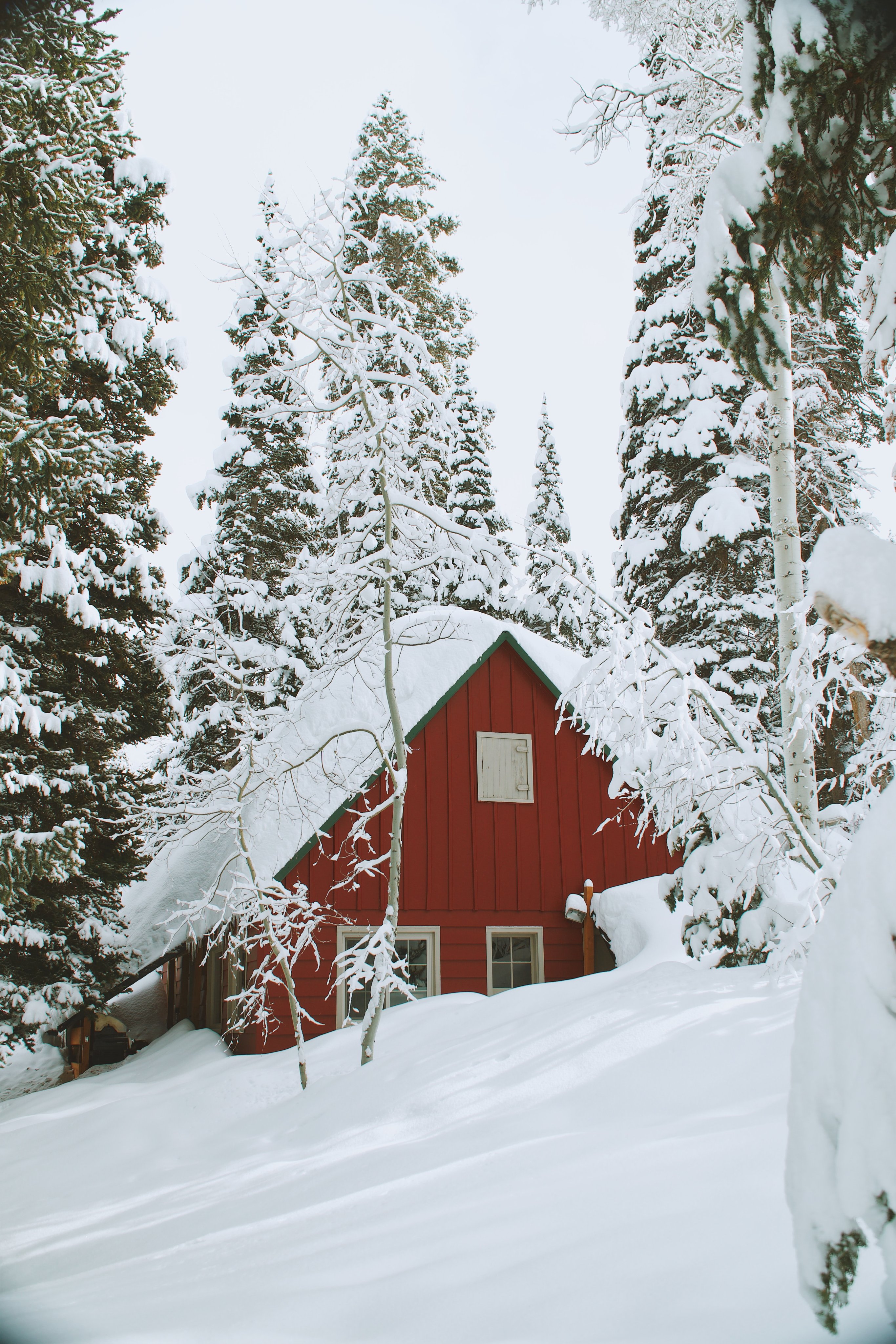 Snow-covered Colorado landscape