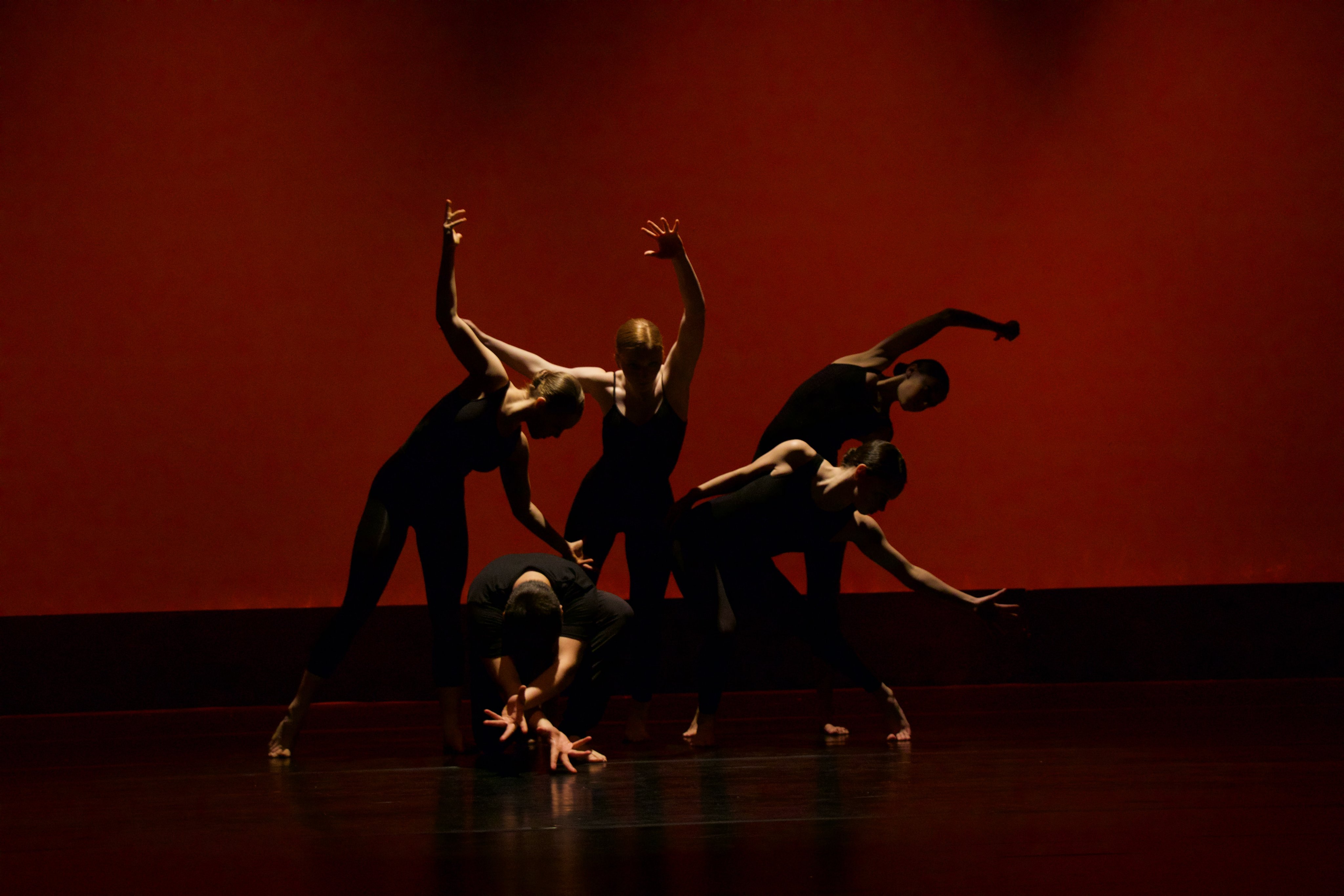 Dance festival