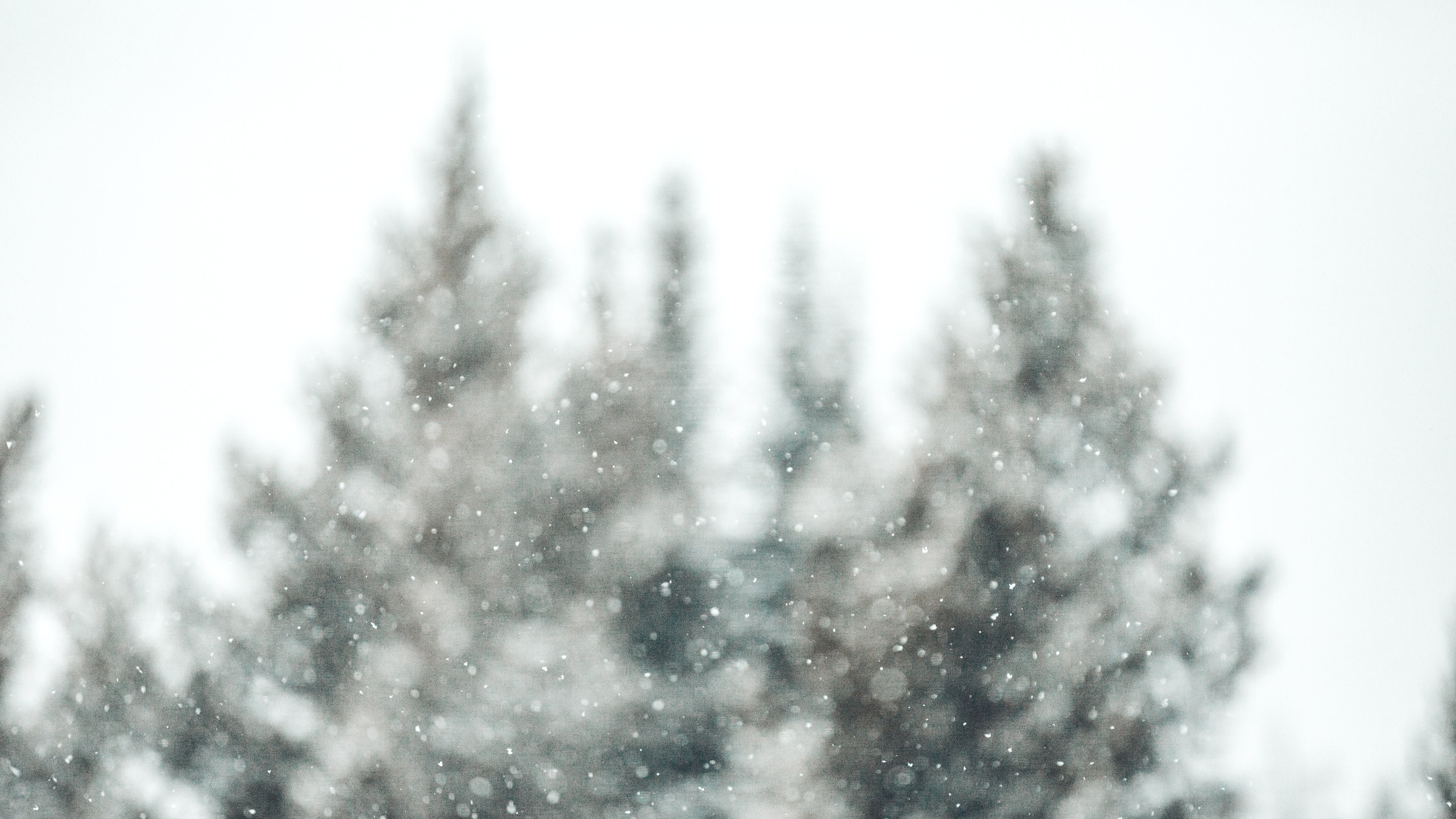 Snowy Vail mountain
