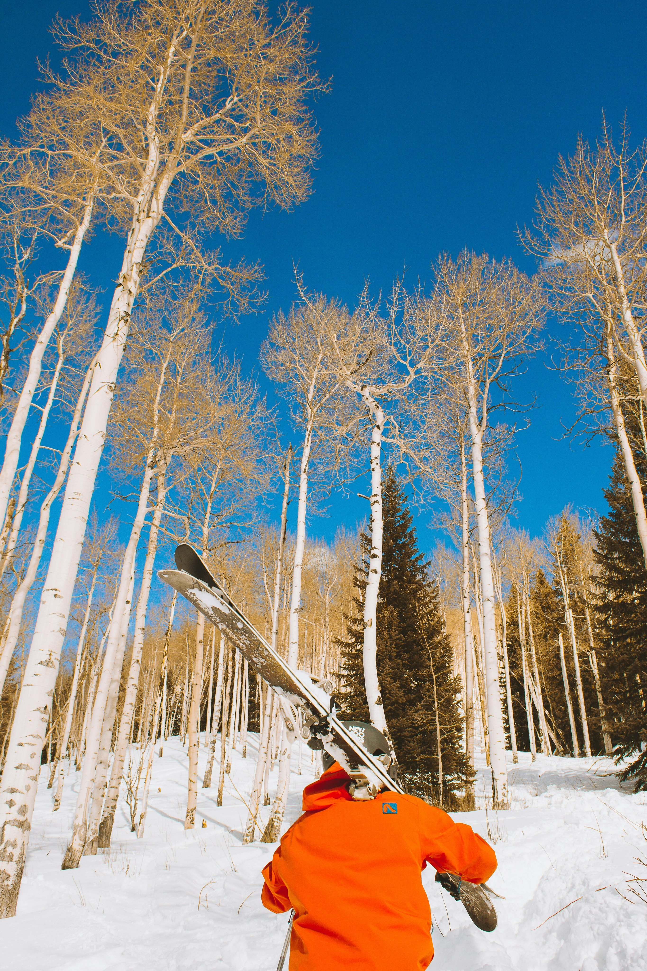 Skier in spring sunshine