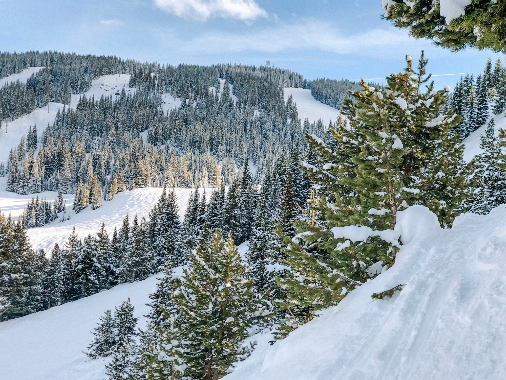Photo by Whitney Brofos courtesy Vail Resorts.