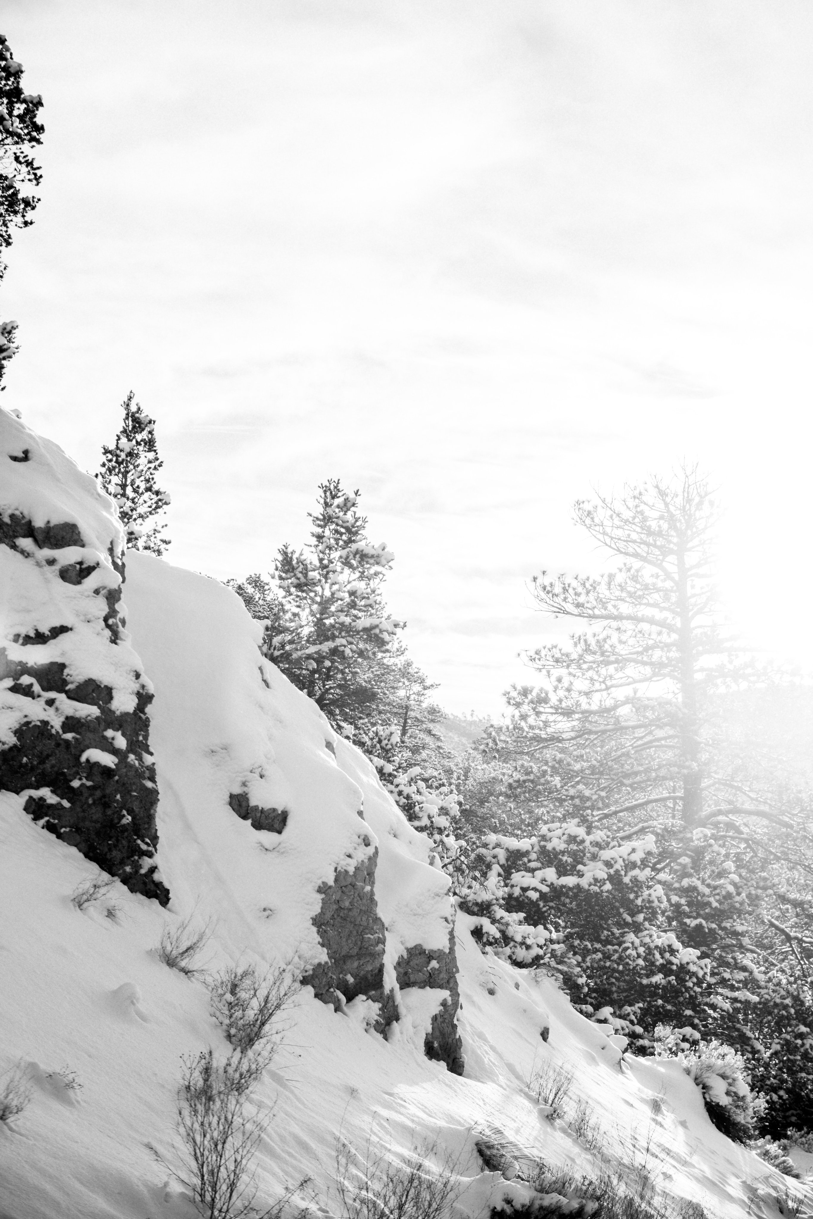Skier in deep powder at Vail