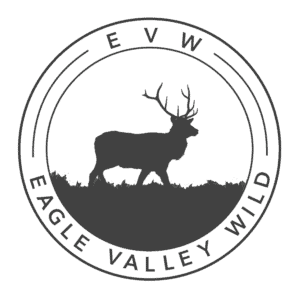 Eagle Valley Wild logo