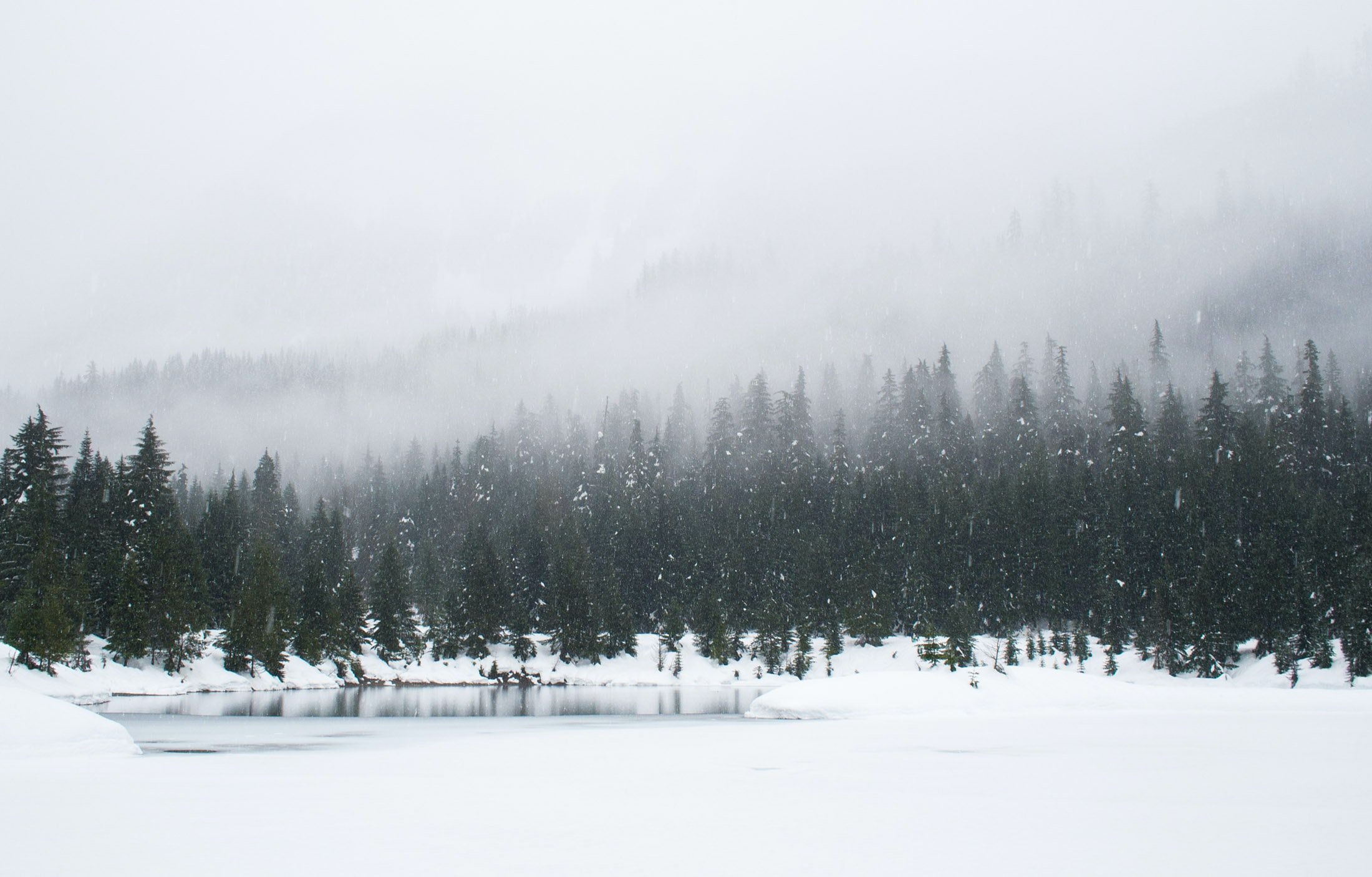 Fresh powder on Vail slopes