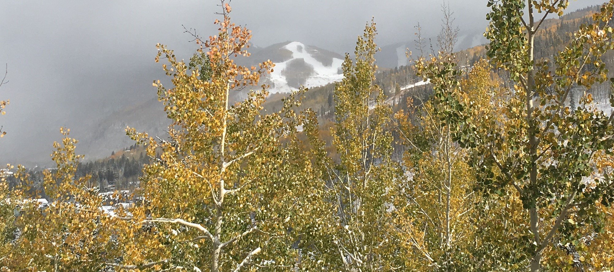 Fall foliage in Vail