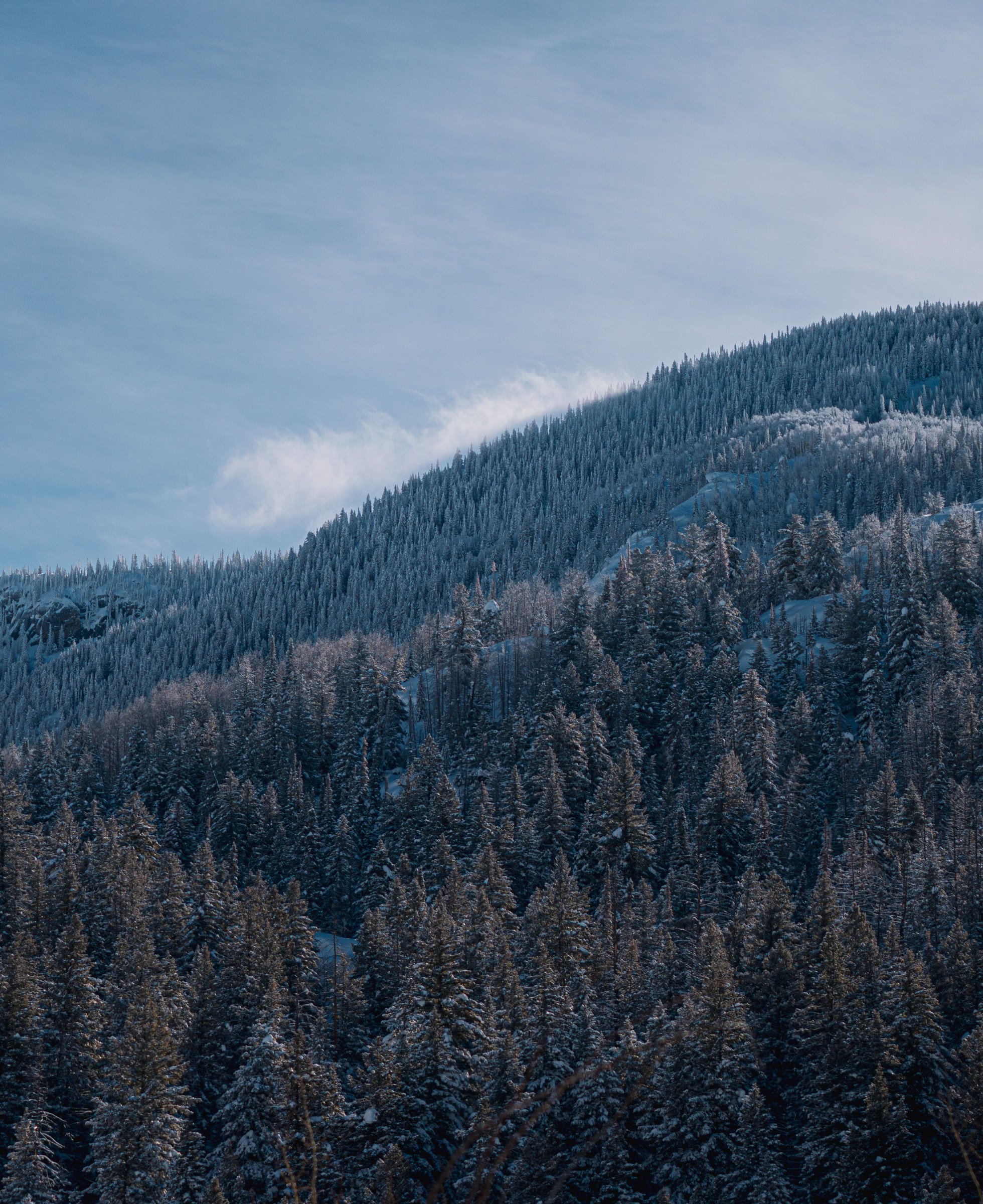 dominic-chasse-Gg71WL6o3Qg-unsplash