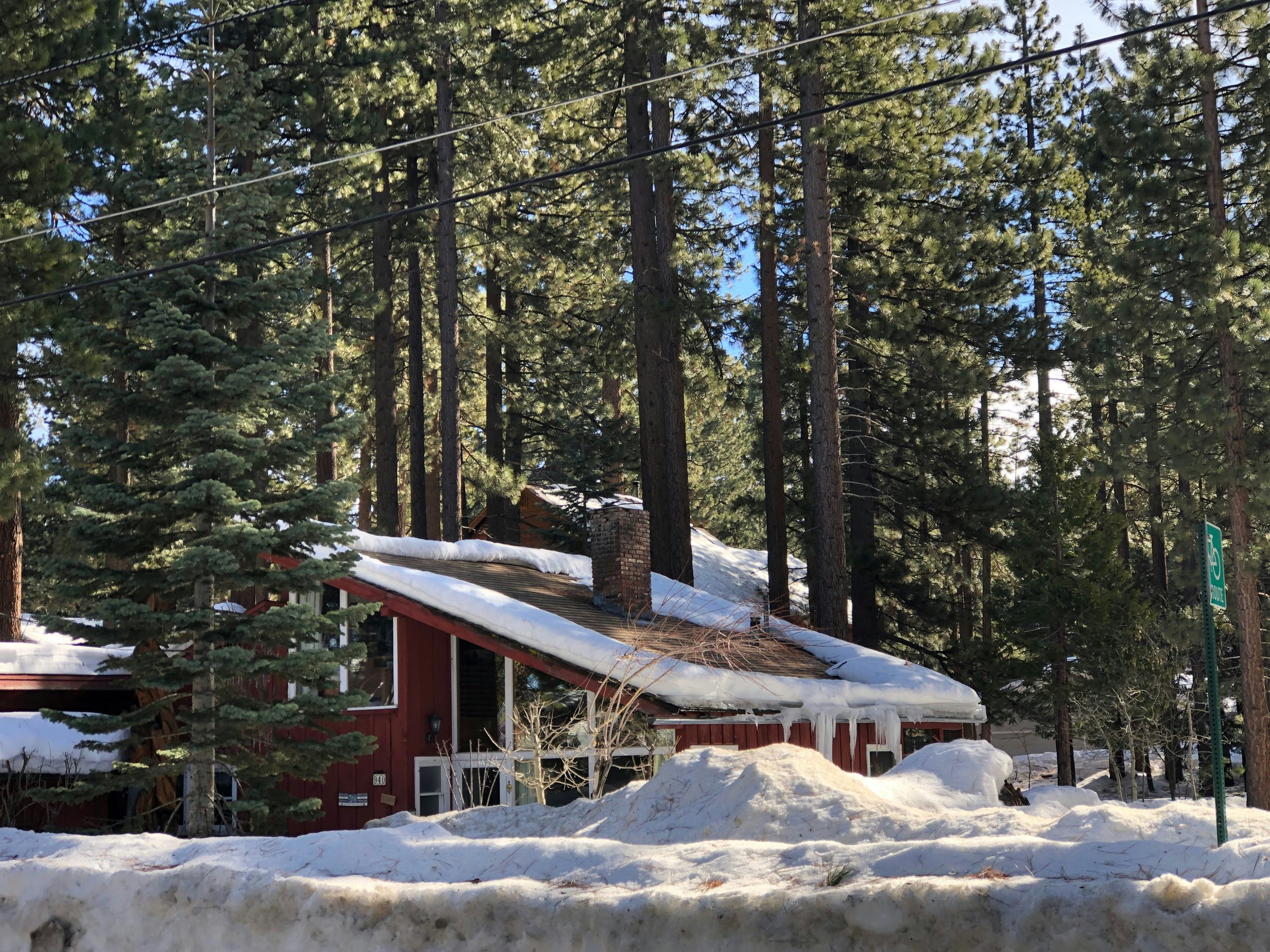 Snow-covered pine forest and mountain homes in South Lake Tahoe, California, in winter