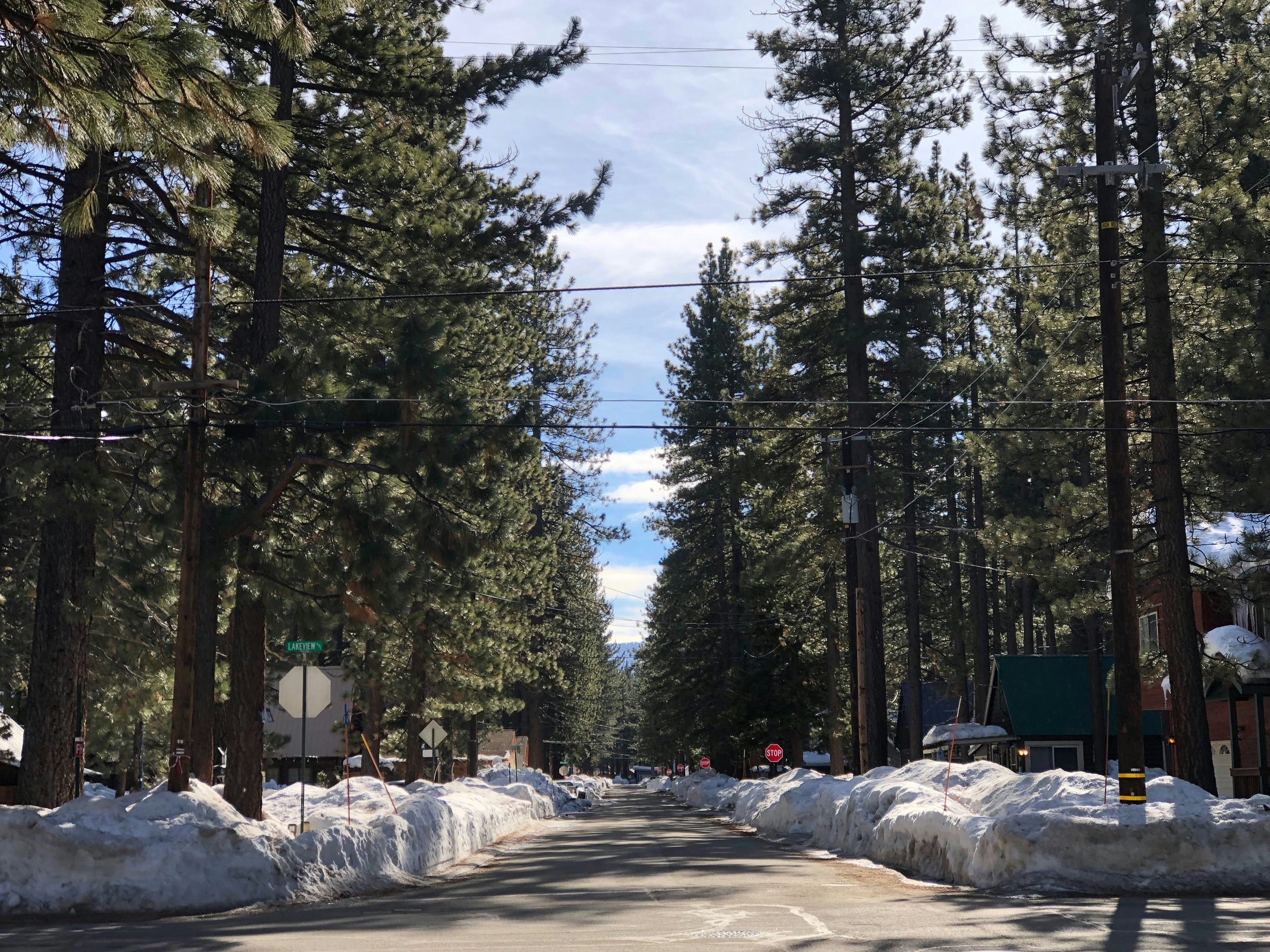 Snow-covered pine forest and residential street in South Lake Tahoe, California, in winter