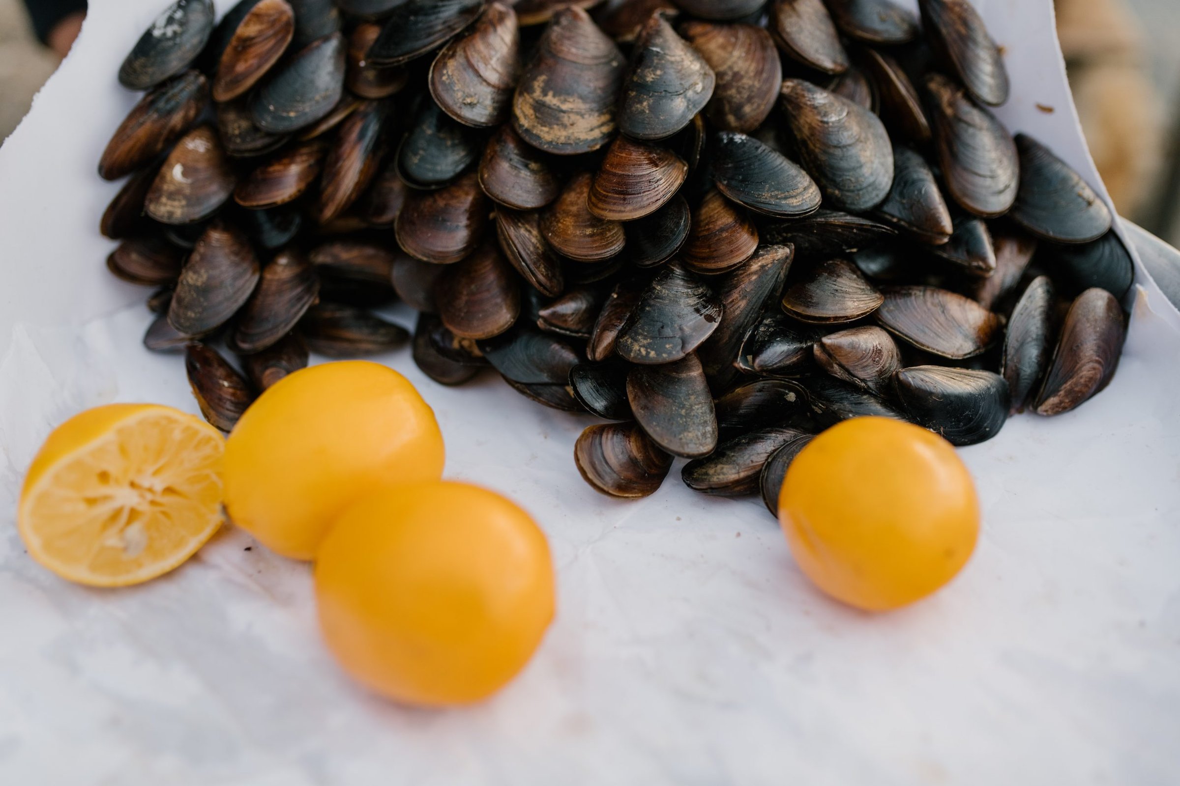 Mussels